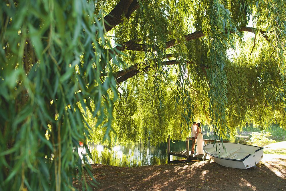 Wedding venue decorated with hanging willow branches and natural greenery.