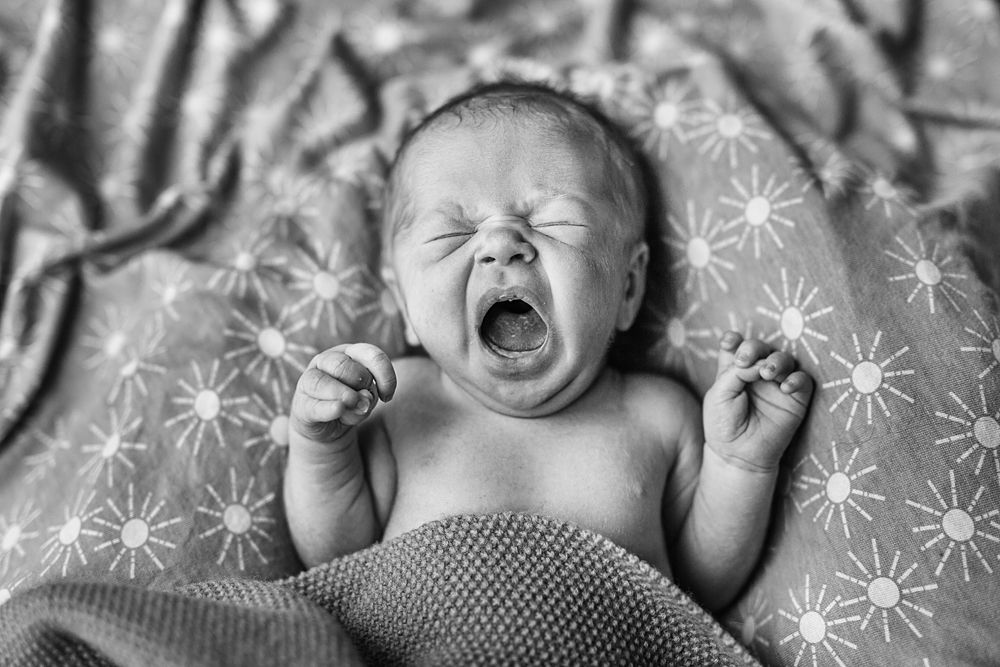 Series of black and white expressions showing playful emotions on a soft blanket.