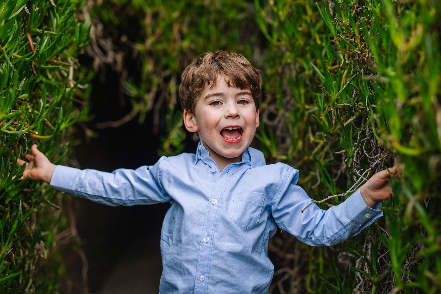 A child in a light blue shirt plays and laughs joyfully among lush green foliage in an outdoor setting.