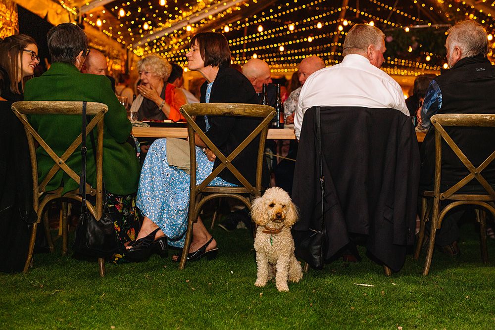 Outdoor evening reception with string lights and cross-back chairs creating a magical atmosphere.