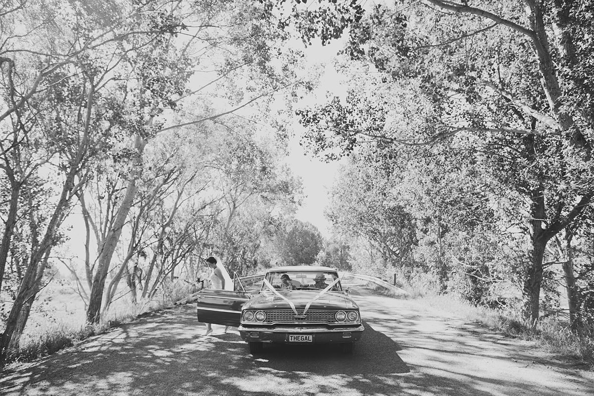 Tree-lined road captured in black and white with dappled sunlight filtering through the canopy.