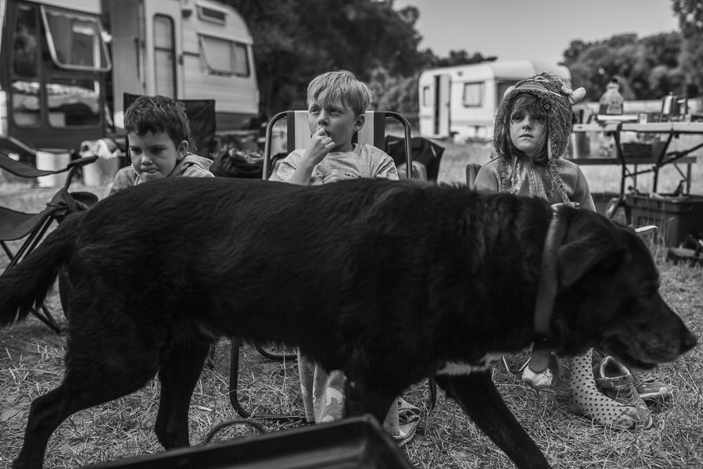 A black and white panoramic photo showing a group of people and horses in a rural outdoor setting.