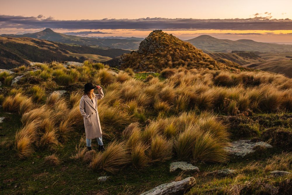 Dramatic mountain landscape at sunset with golden tussock grass in foreground.