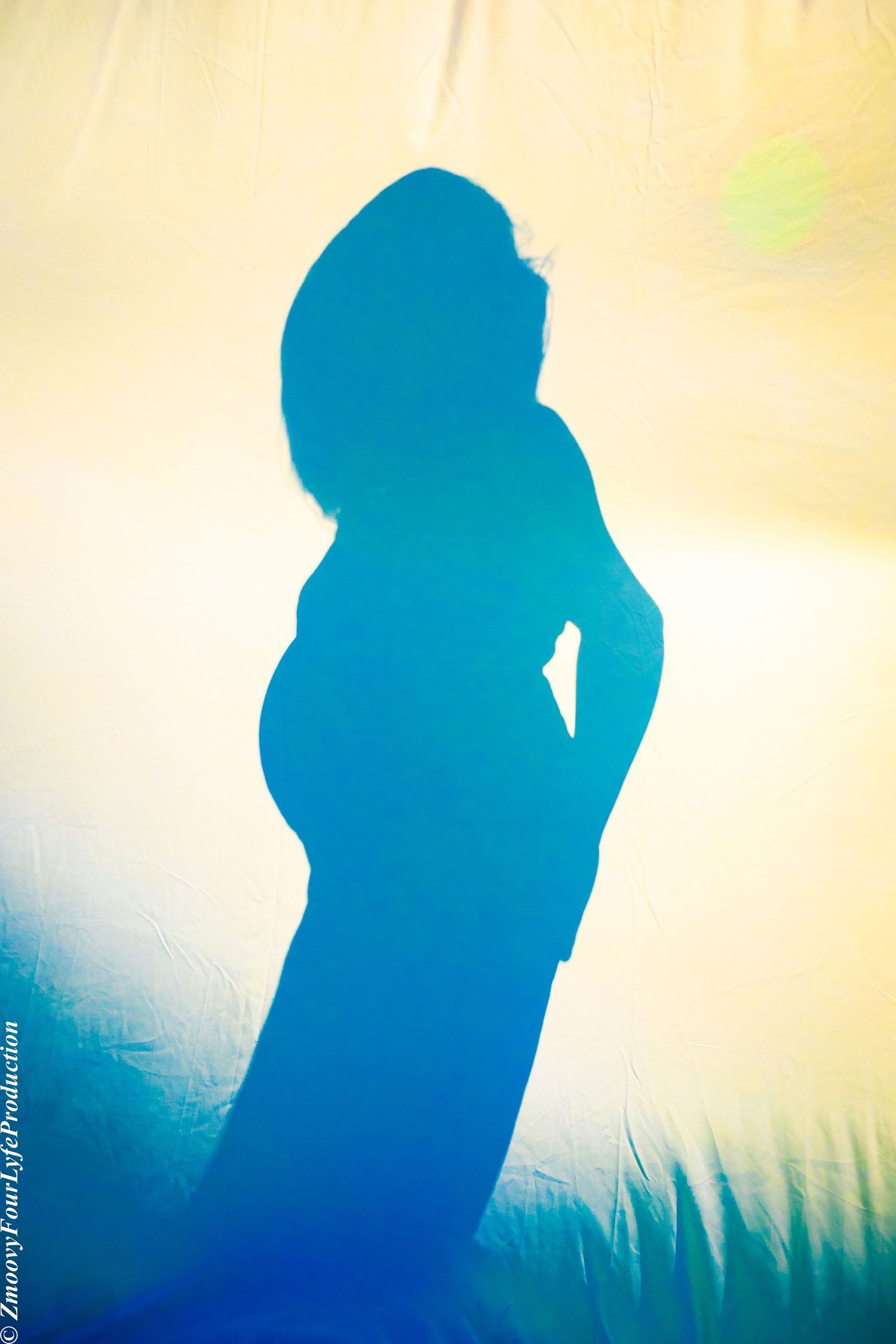 Maternity Shoot by Zmoovy Milestones
