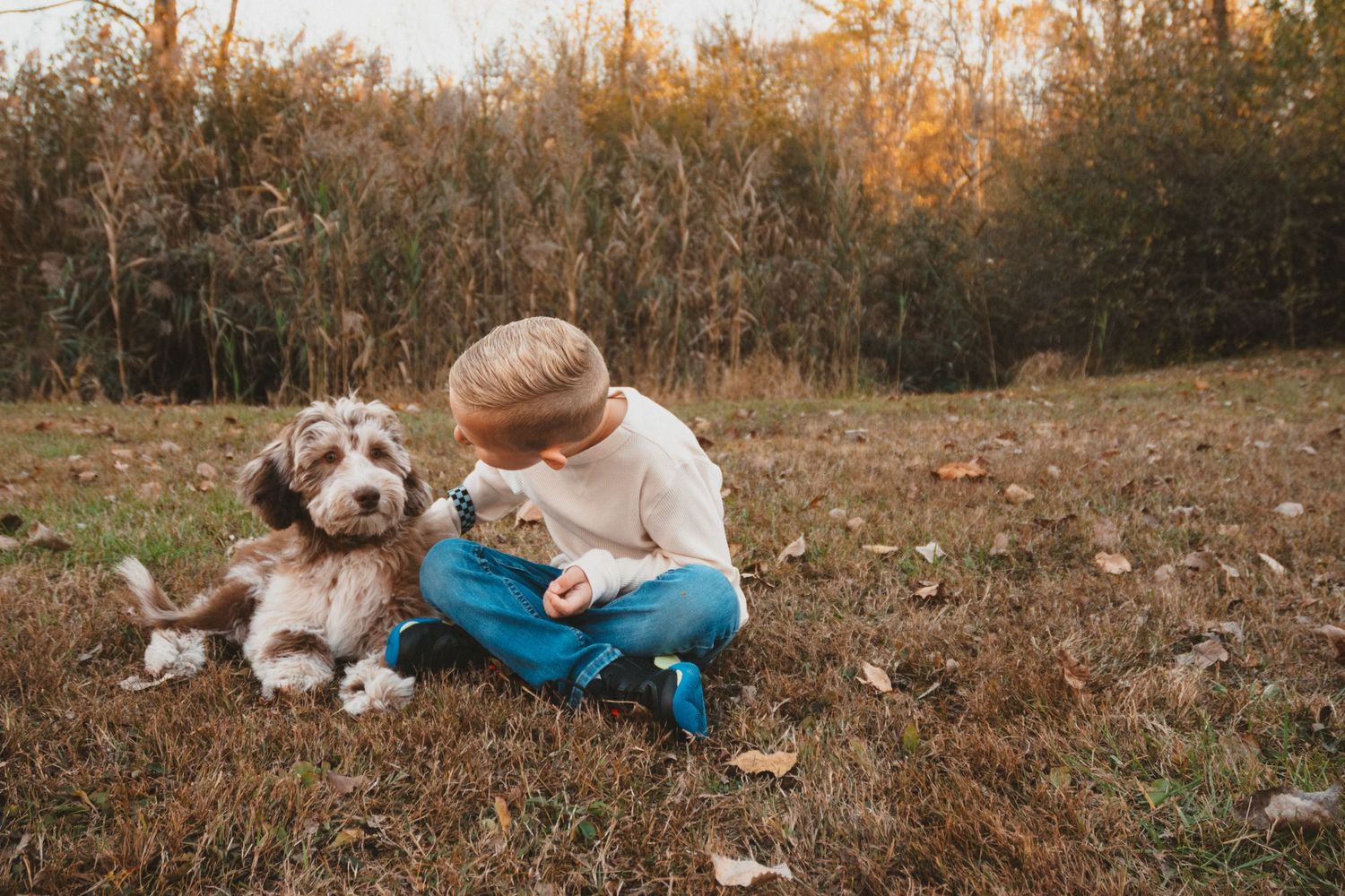 A young boy in a cream sweatshirt sits on autumn grass petting his adorable fluffy brown and white dog.