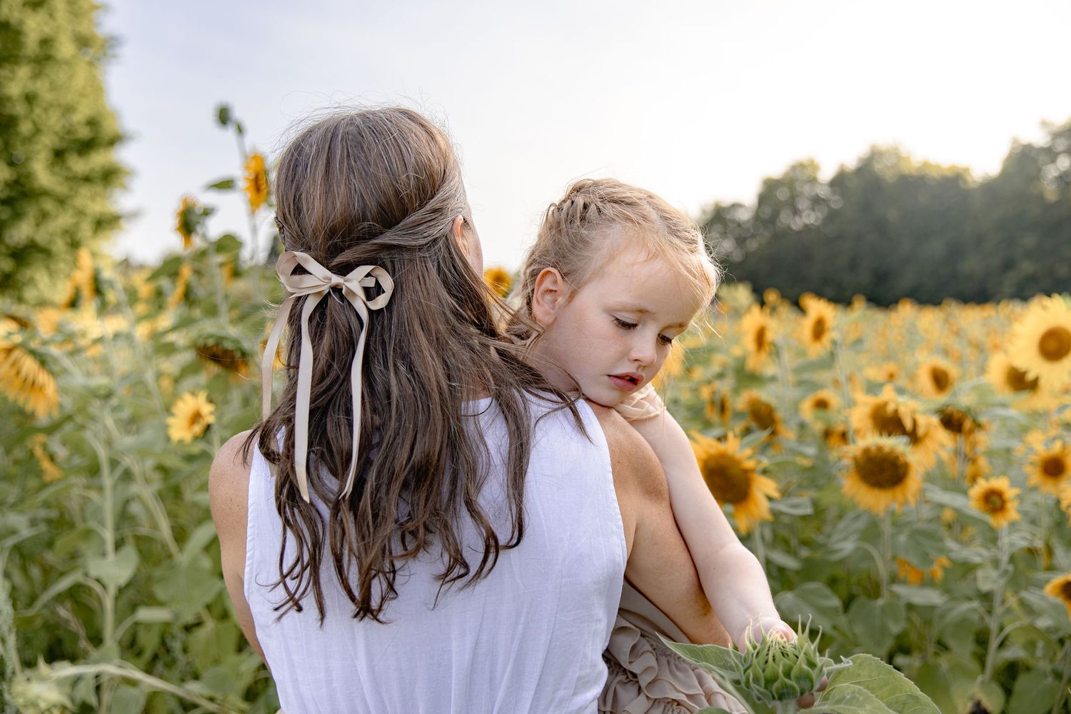 Children playing and exploring in a vibrant sunflower field during golden hour sunset.