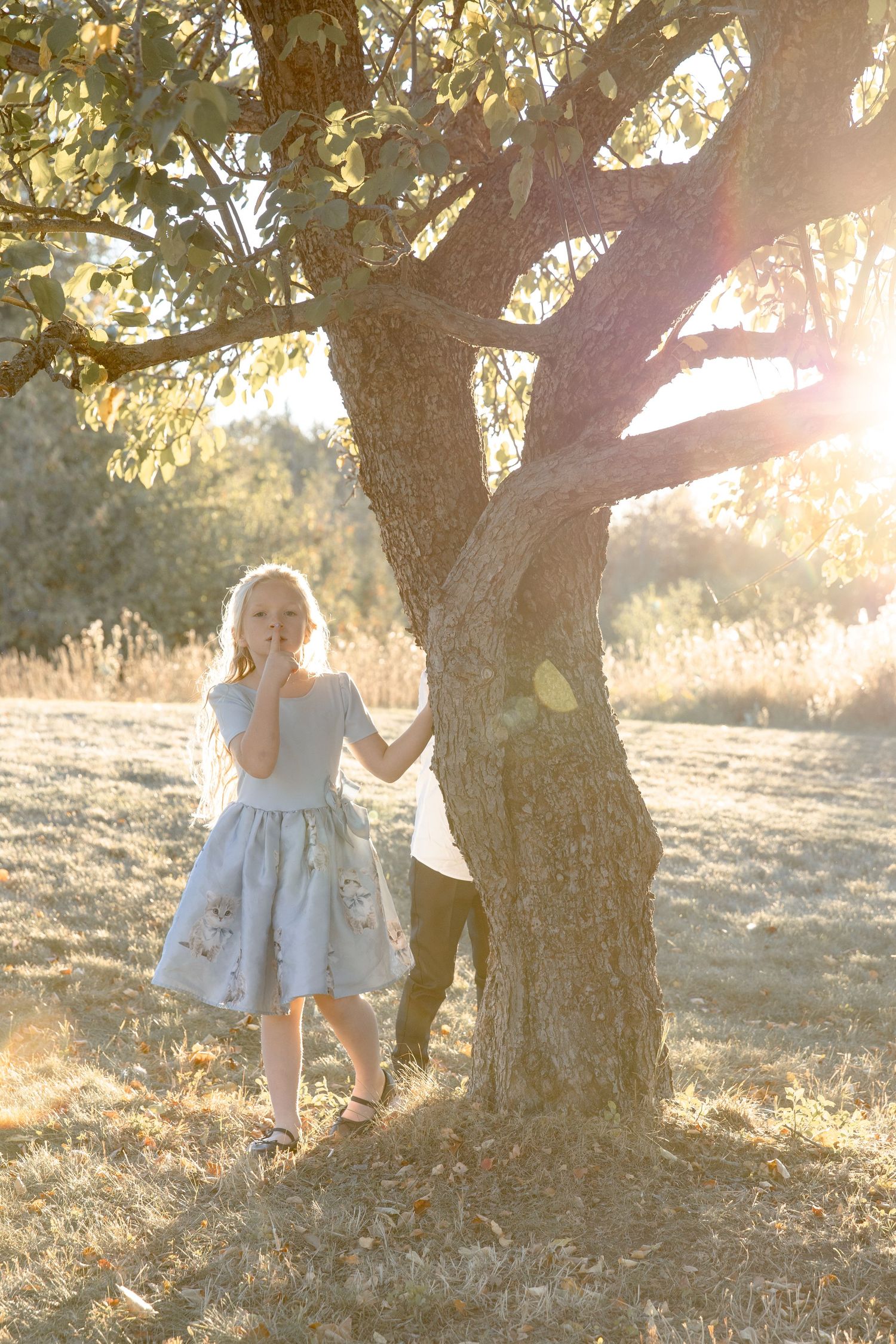 A dreamy sunset photoshoot in an olive grove with soft golden light filtering through the trees.