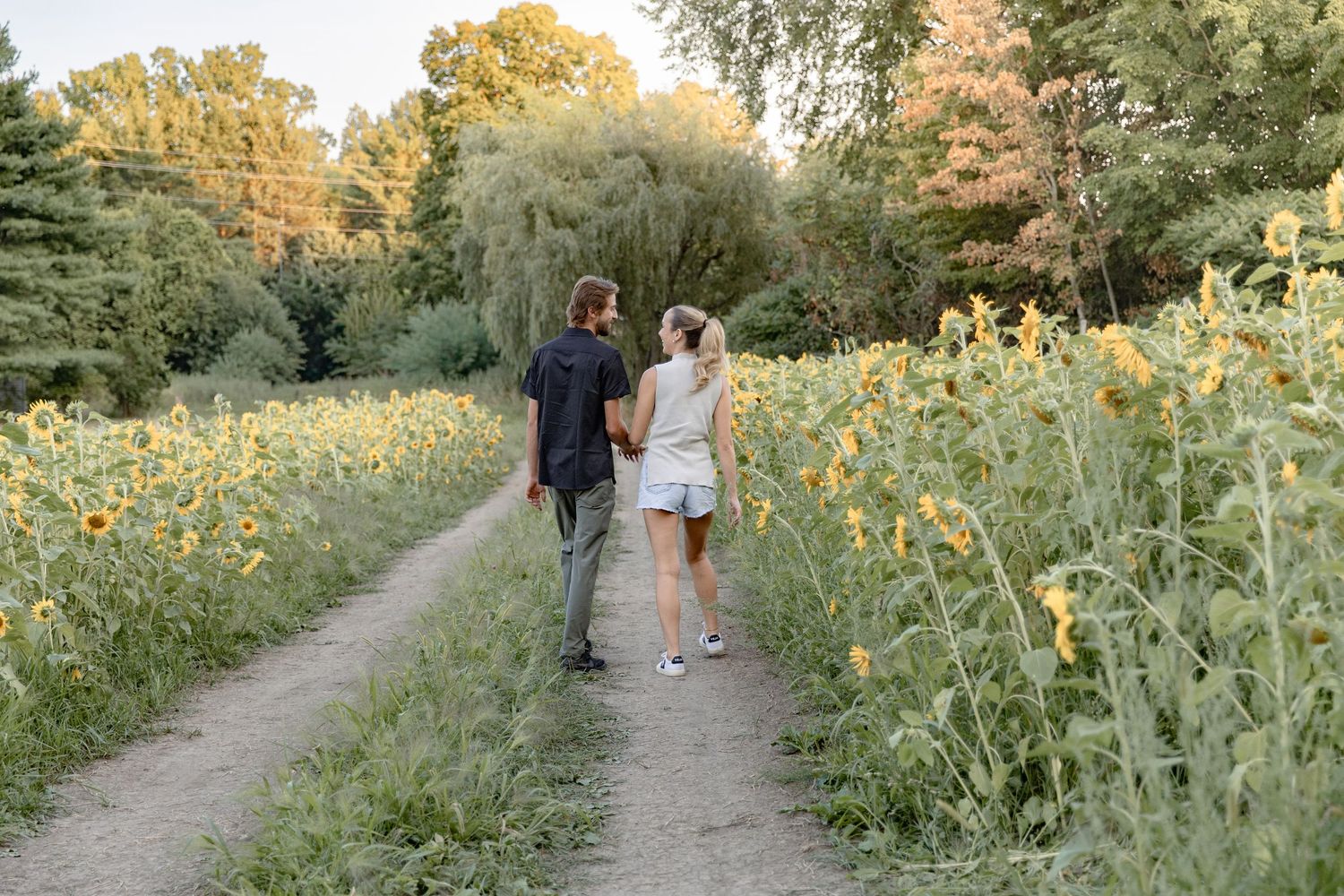 Two figures walk down a winding path surrounded by vibrant yellow wildflowers and lush greenery on a summer evening.