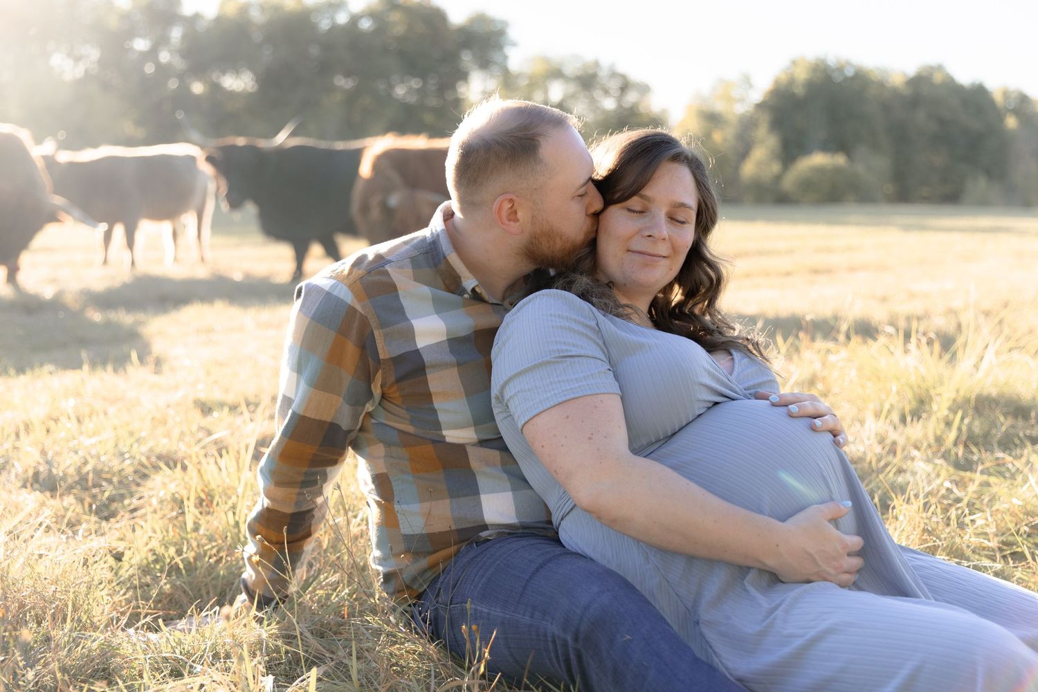 A couple sits together in a golden field at sunset with cattle grazing in the background during a maternity photo session.