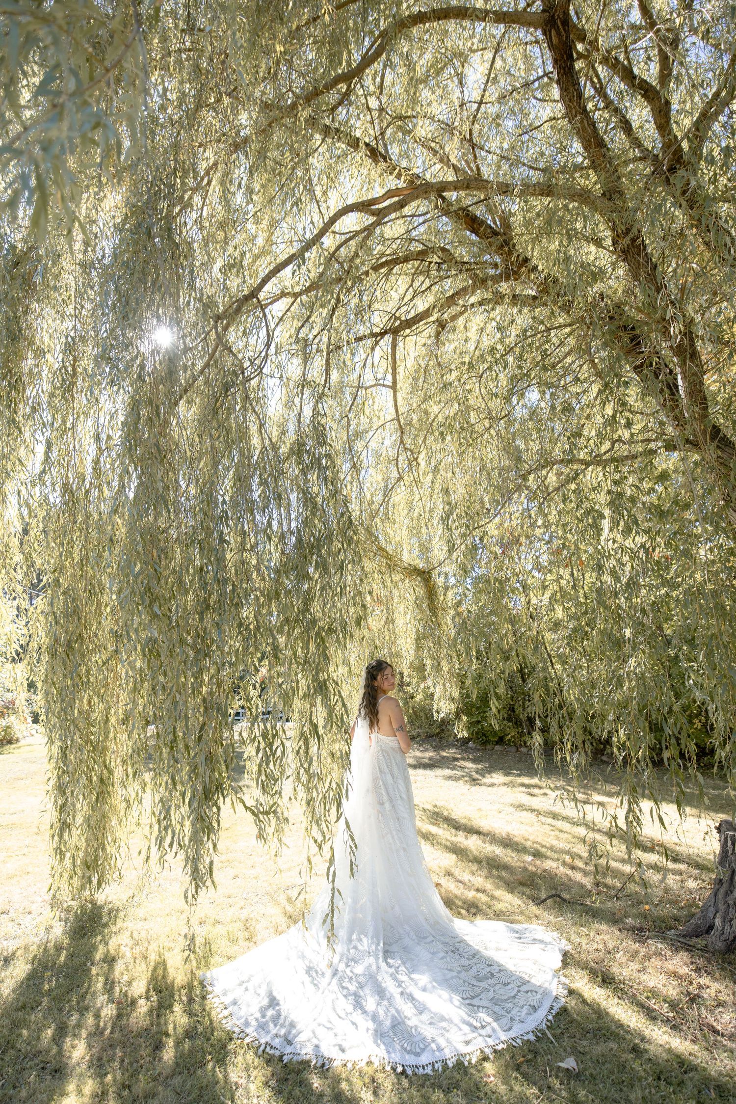 A figure in a flowing white dress poses beneath the graceful branches of a weeping willow tree in golden sunlight.