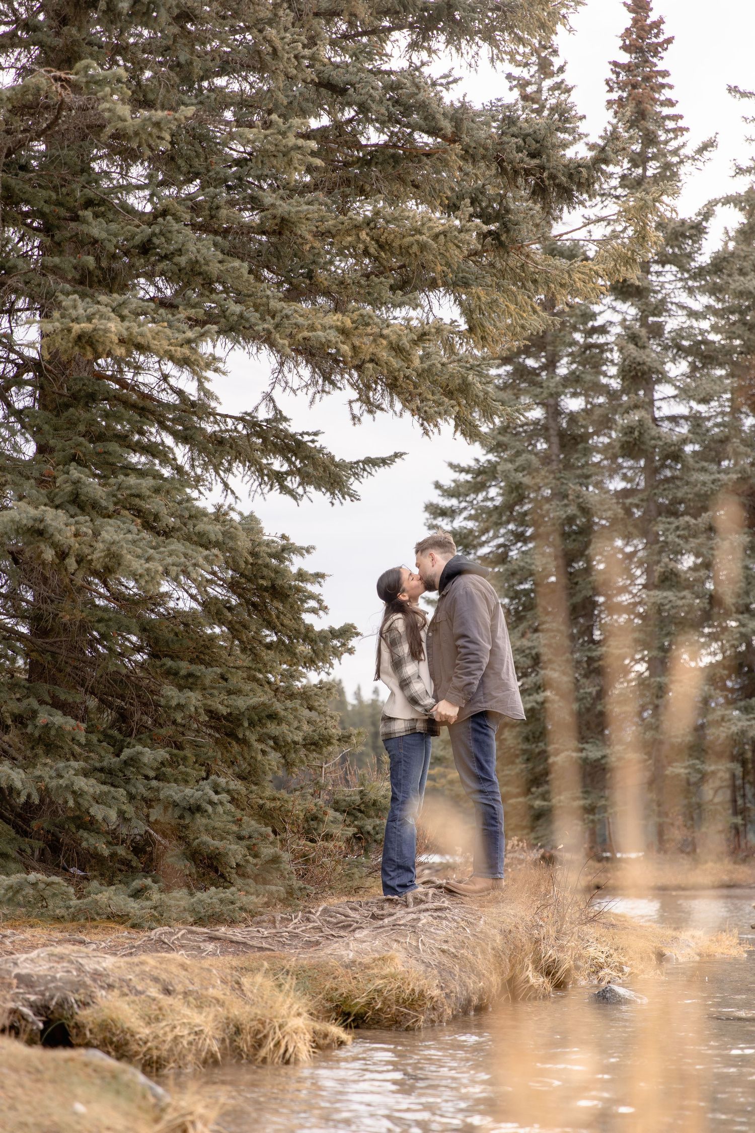 A romantic winter scene by a stream with evergreen trees in the background on a misty afternoon.