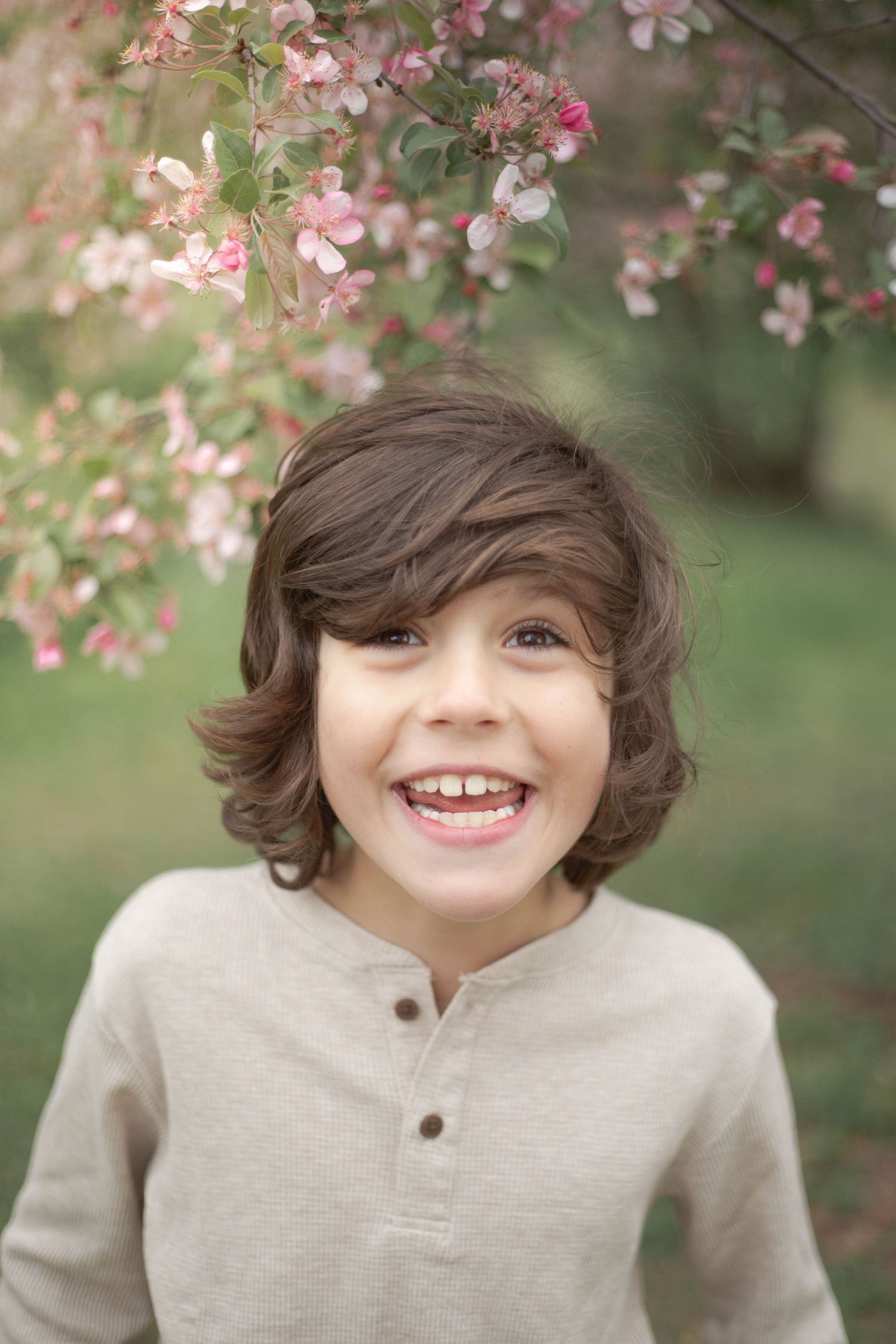 A series of four photos showing joyful expressions under blooming cherry blossoms wearing a beige sweater.