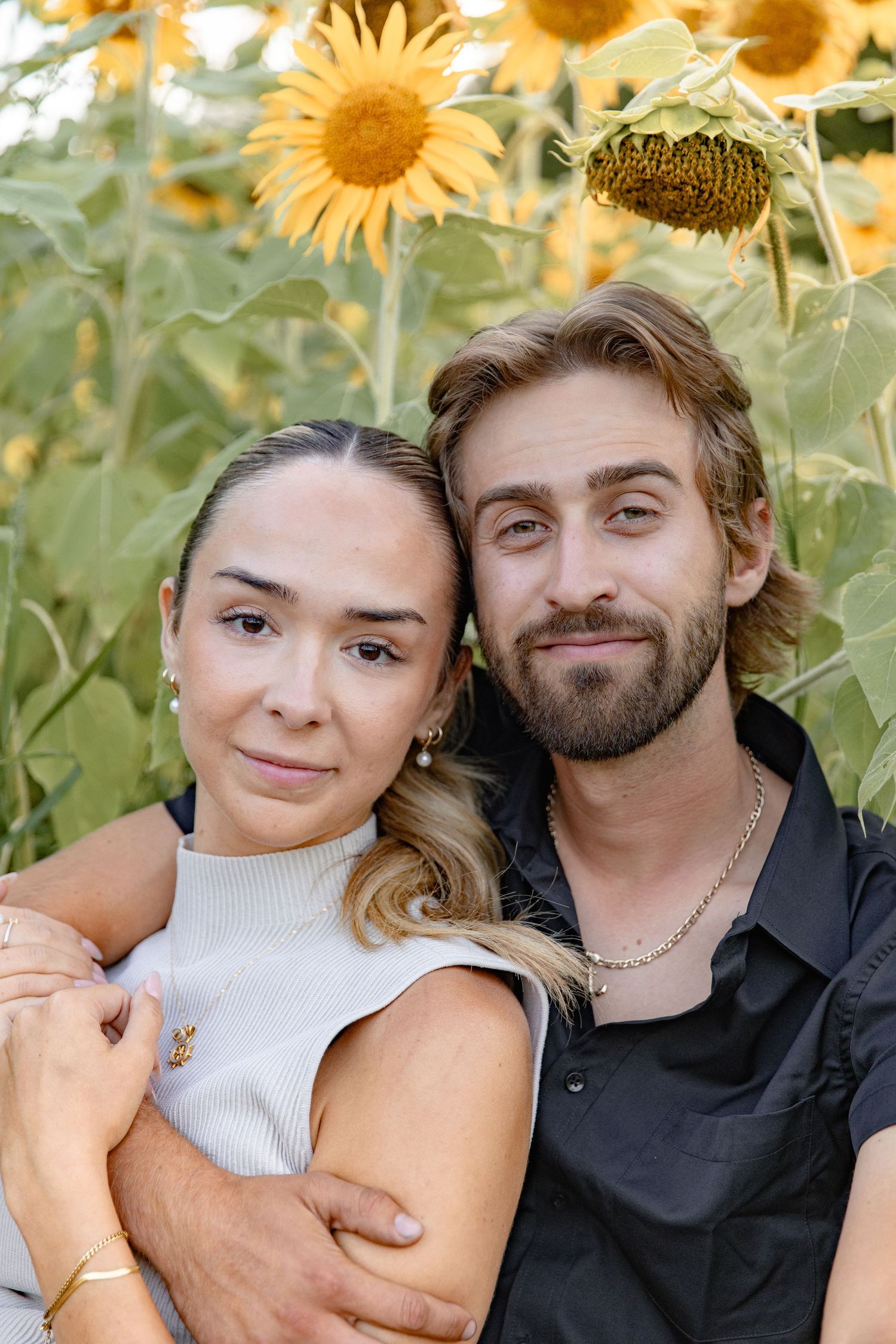 A couple poses together in a sunflower field on a sunny day, sharing affectionate moments across multiple photos.