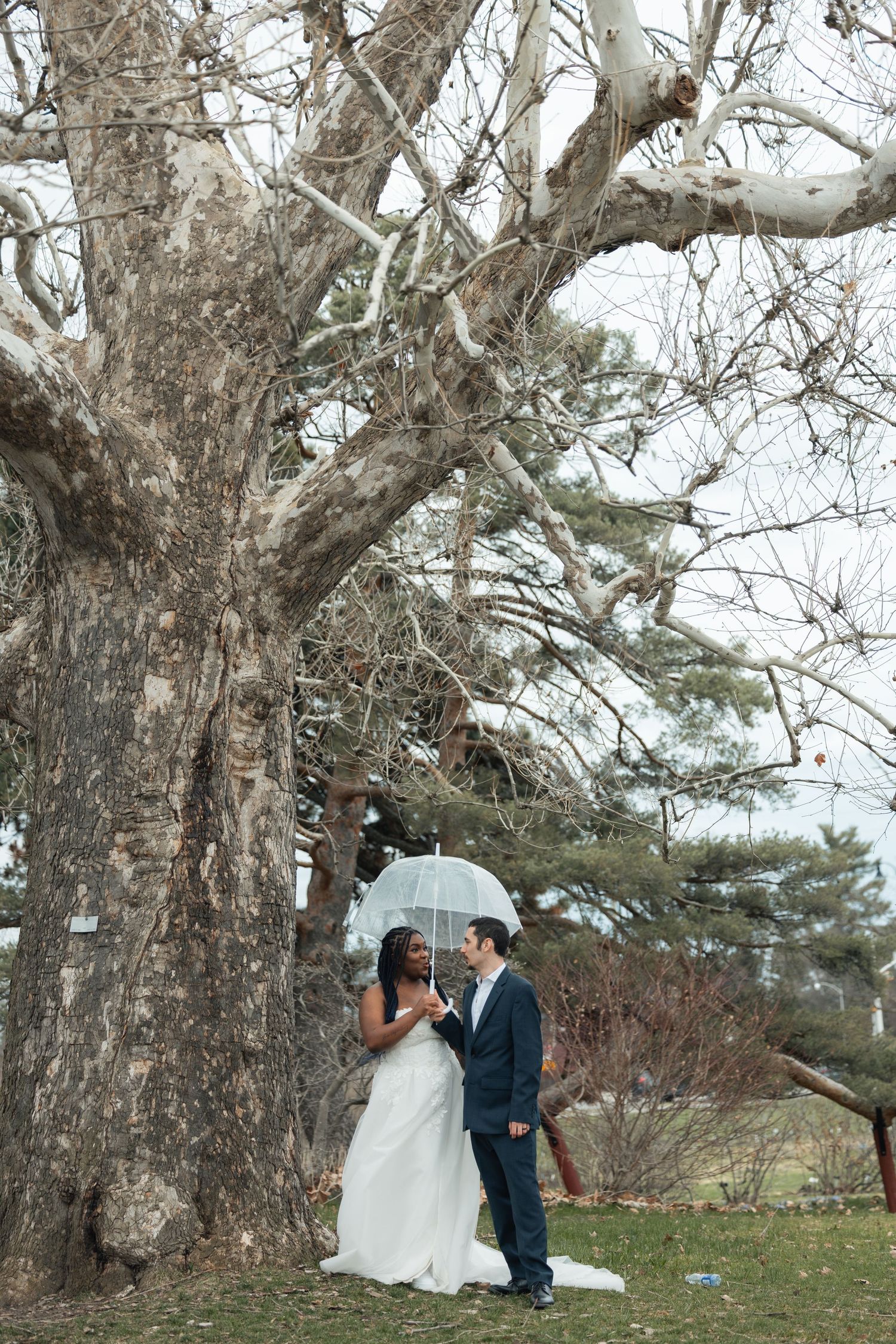Bride and groom share a romantic moment under a clear umbrella beside a large tree on their rainy wedding day.