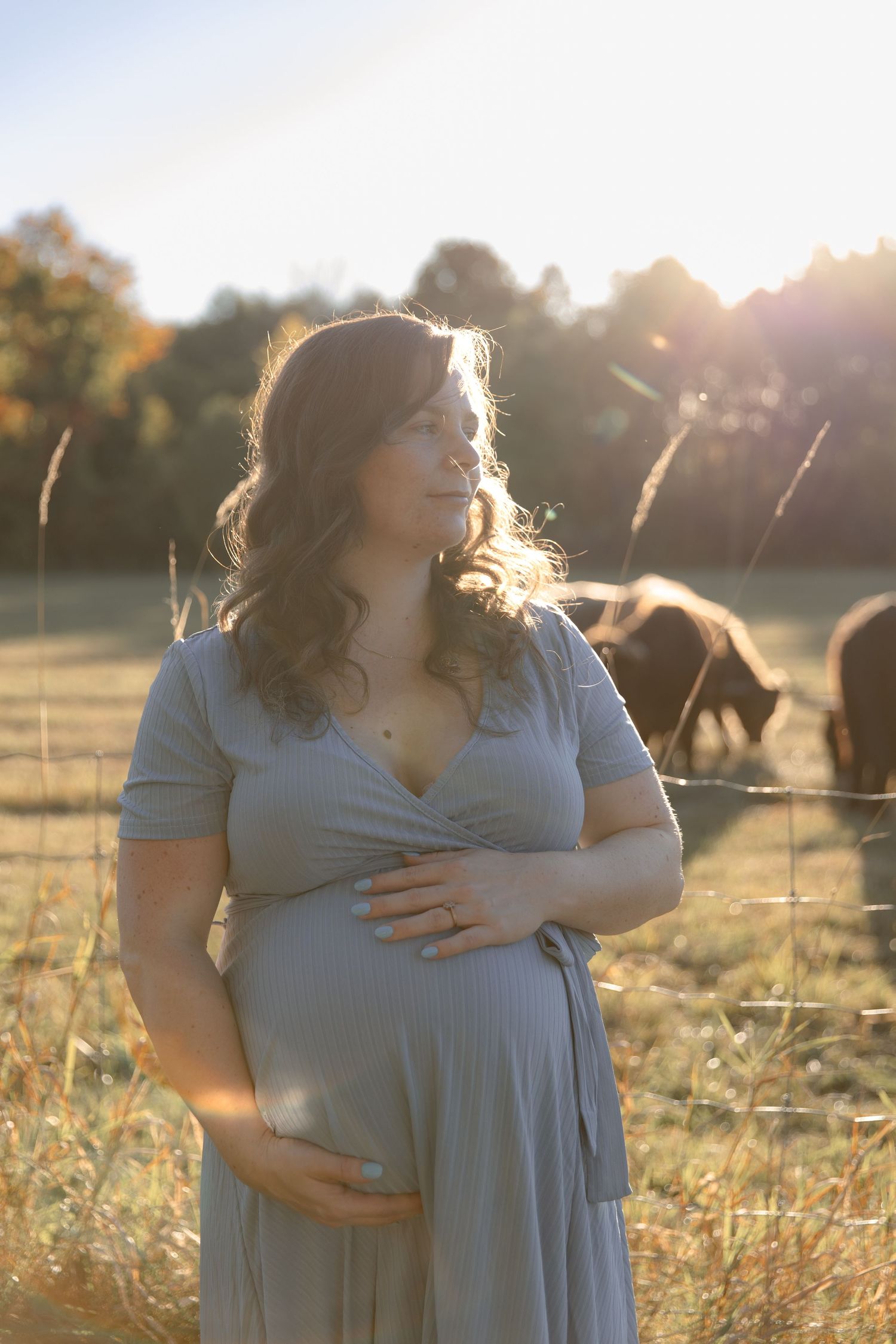 Two people in light blue dresses embrace in a sunlit field at golden hour with horses visible in the background.