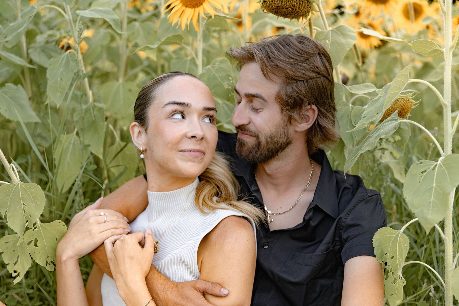 A romantic couple embraces in a blooming sunflower field during a warm summer day.