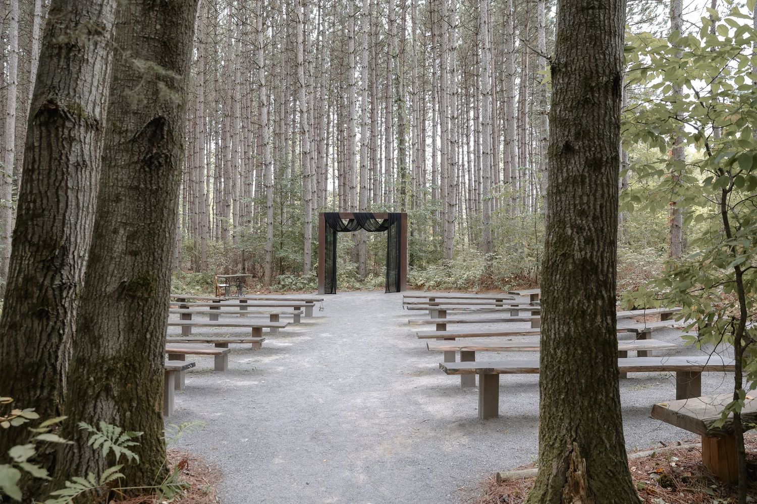 A serene outdoor chapel with wooden benches arranged in rows among tall pine trees in a forest setting.