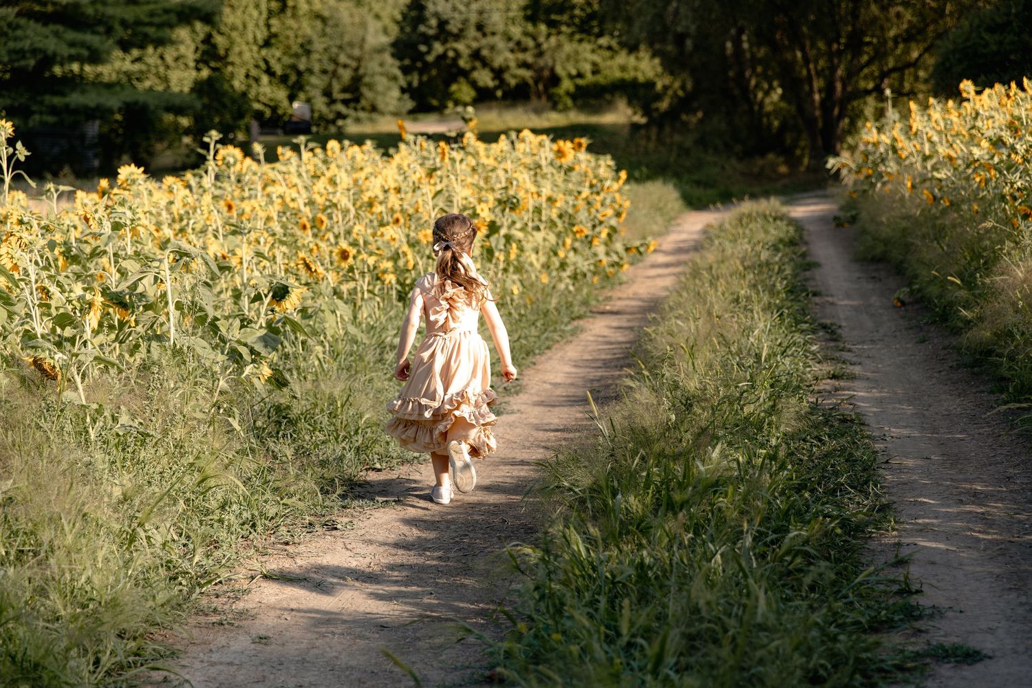 Someone in a flowing dress walks along a dirt path bordered by tall yellow sunflowers on a sunny summer day.