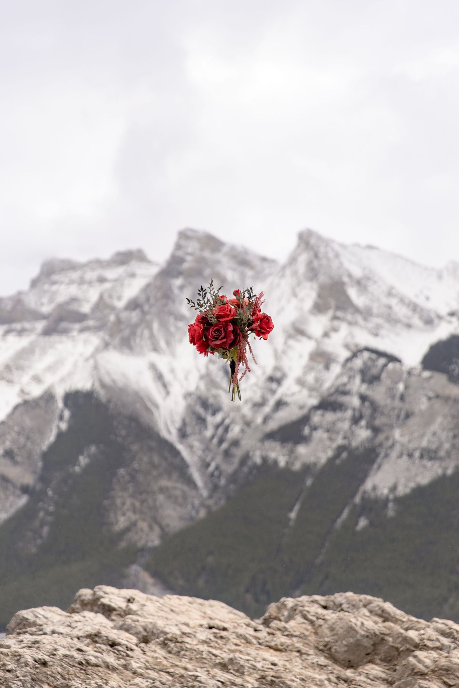 A red flower bouquet floats against a dramatic backdrop of snow-capped mountain peaks in the Canadian Rockies.