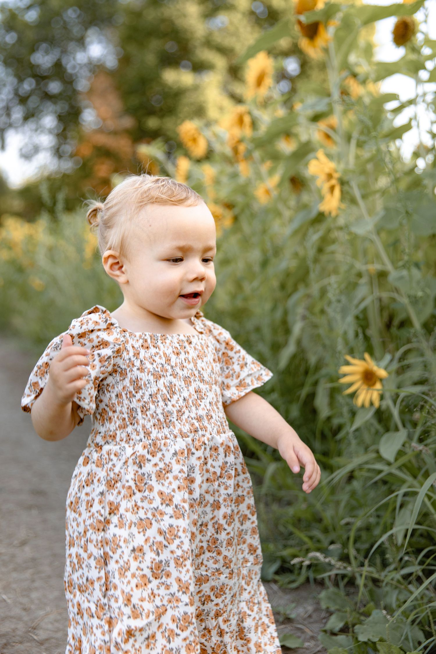 A sequence of photos shows a small child in a floral dress playing among tall sunflowers in a garden.