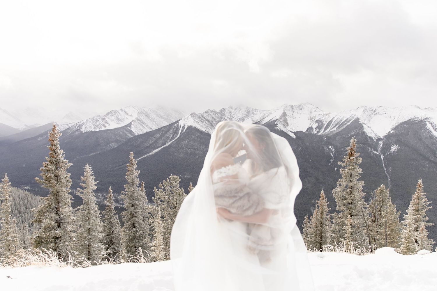 A panoramic winter landscape shows snow-covered mountains and evergreen trees under an overcast sky.