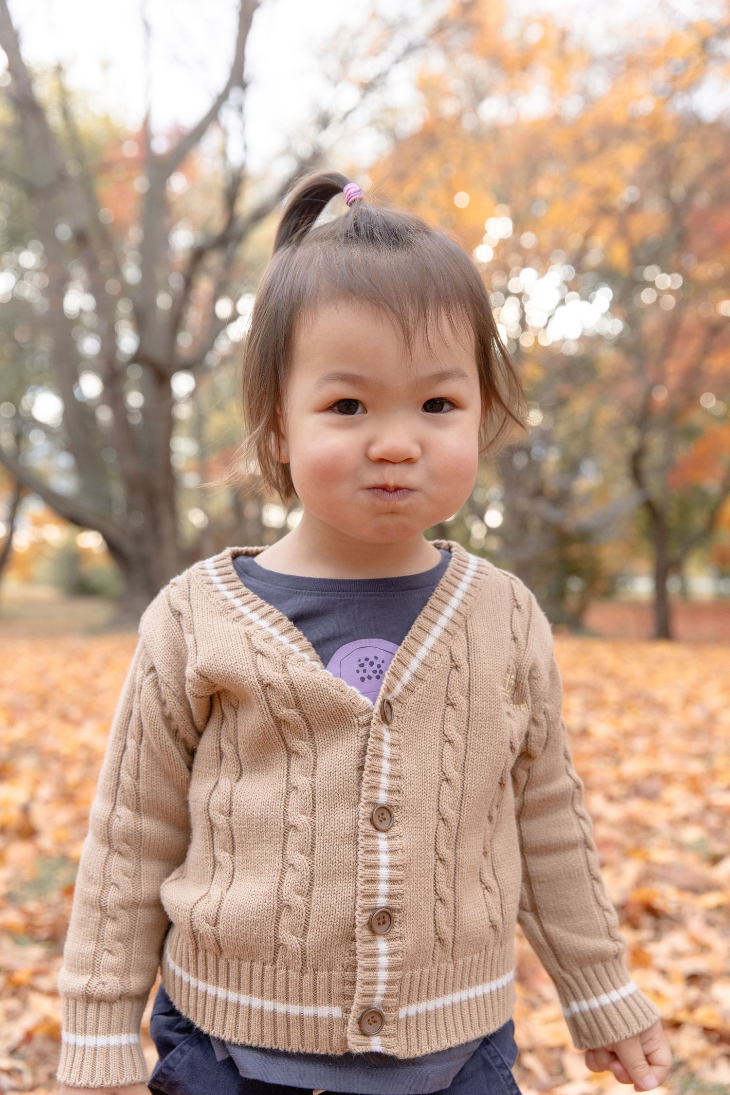 A small child in a tan cable knit cardigan sits among fallen autumn leaves on a crisp fall day.