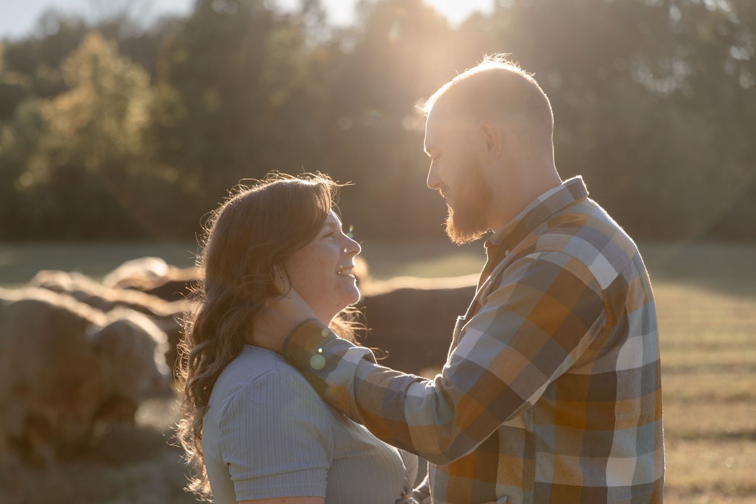 A couple embraces in a sun-drenched field during golden hour, backlit by warm sunlight filtering through trees.