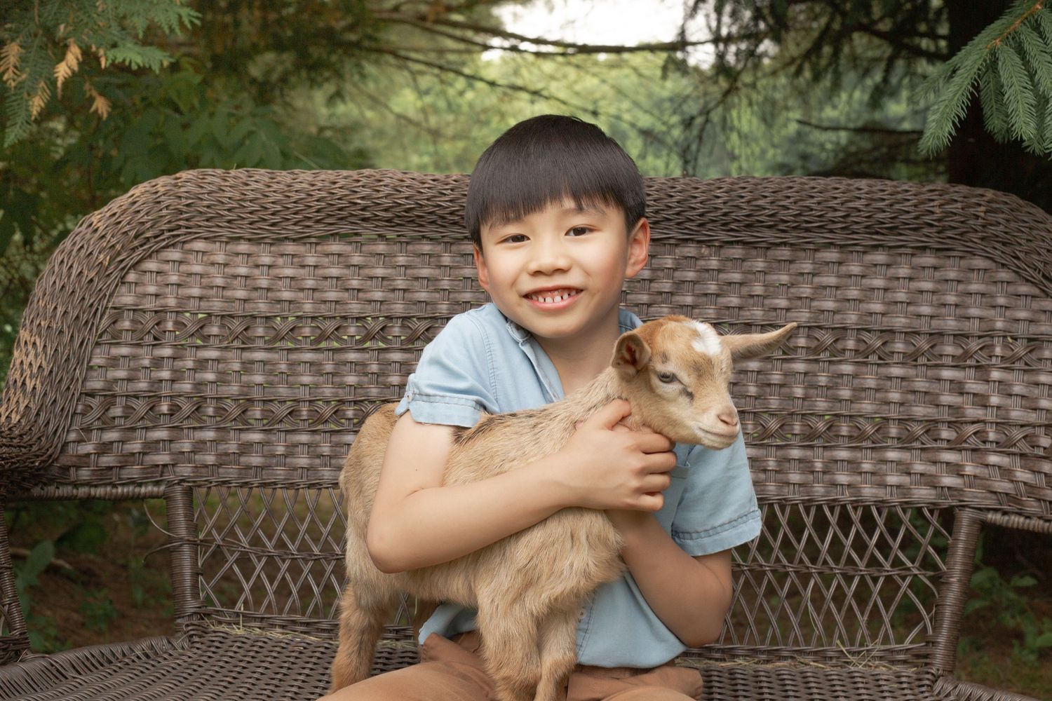 A series of connected photos showing someone holding and petting an adorable brown and white rabbit outdoors.