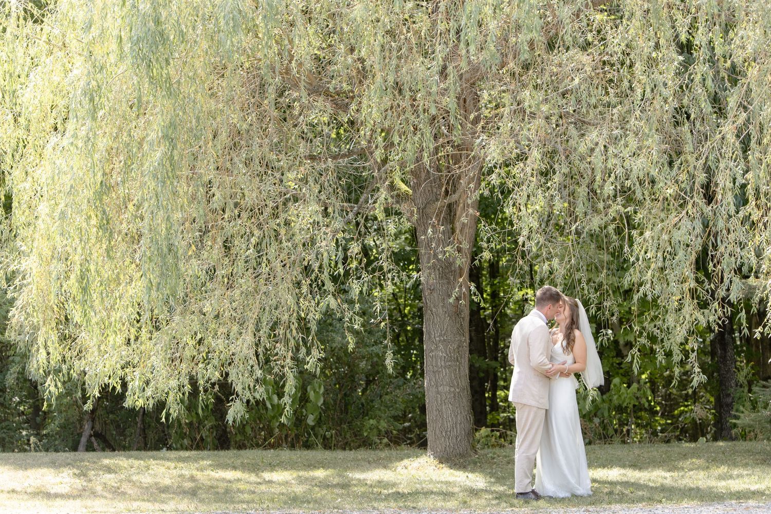 A couple in white embraces under a graceful weeping willow tree on a sunny summer day.
