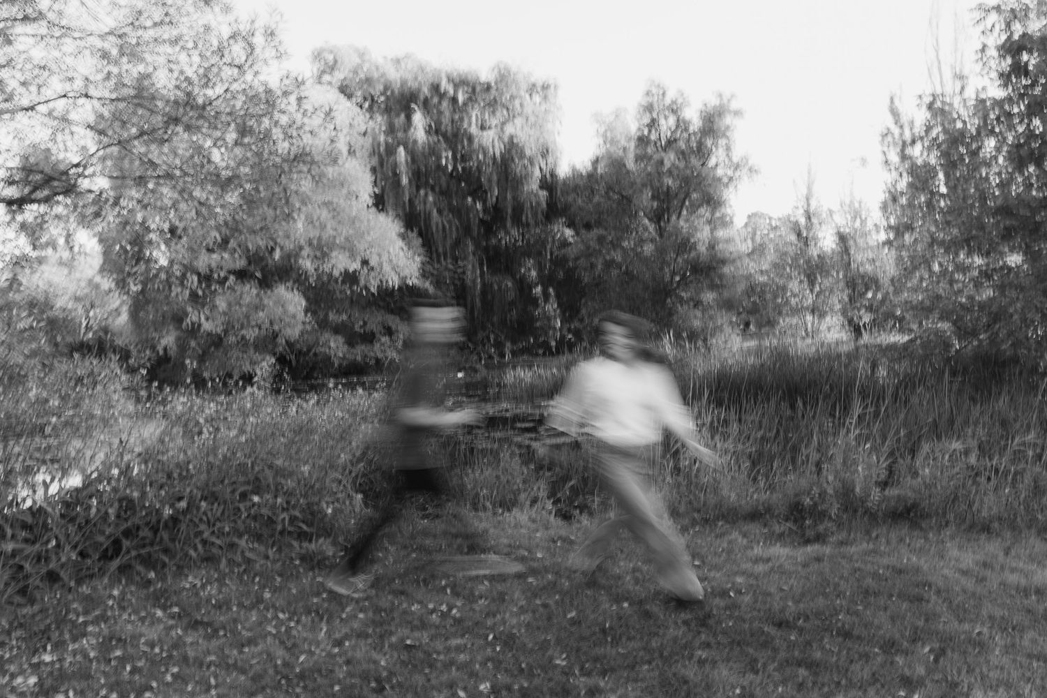 A series of blurry black and white motion photographs showing movement through a garden path.