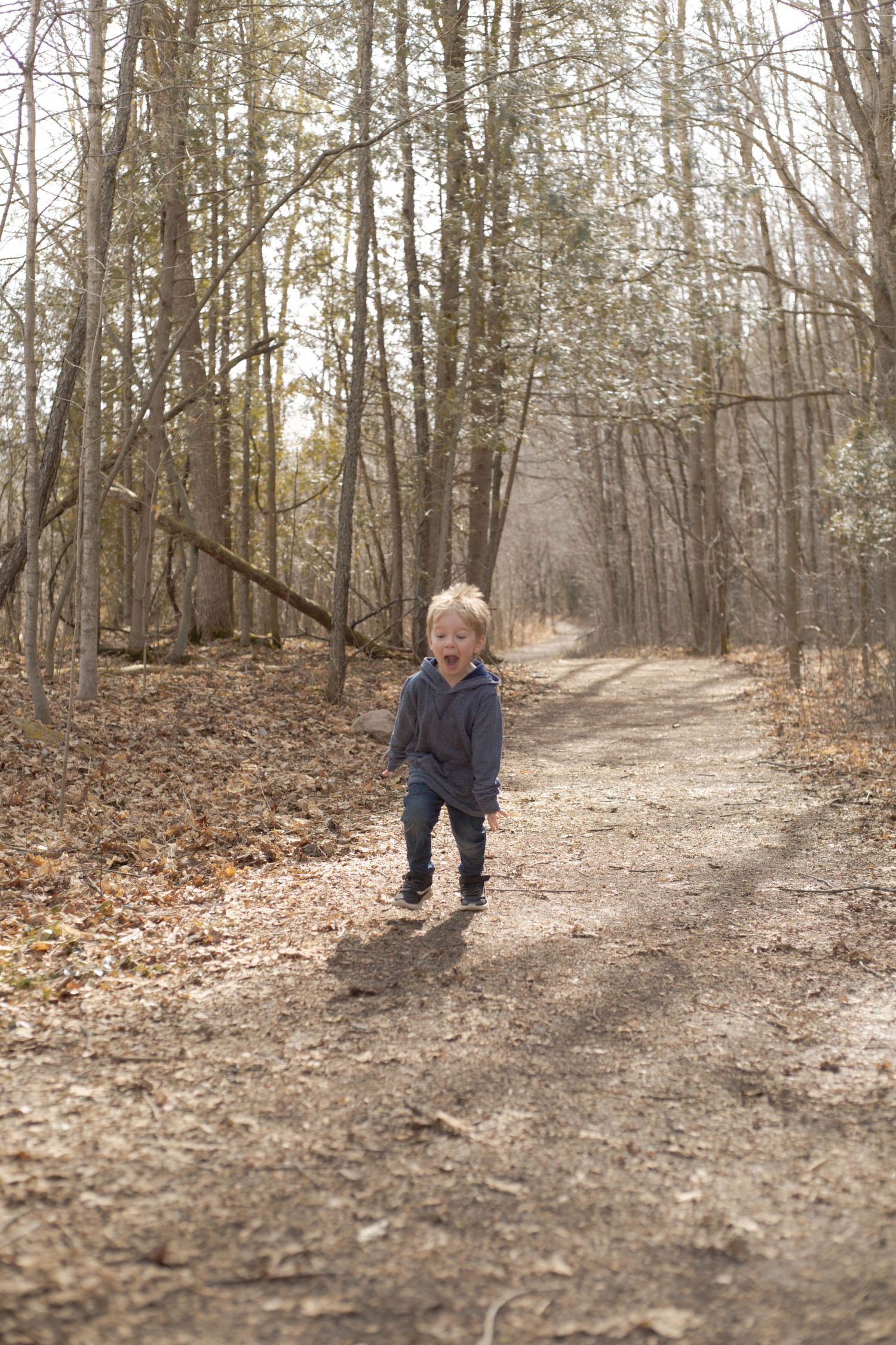 Small child walks alone on a forest path covered in fallen leaves during autumn.