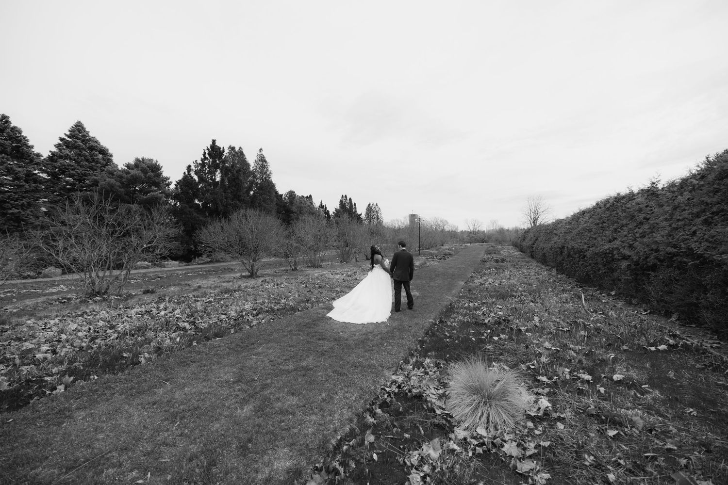 Black and white wedding photo of bride and groom walking down a garden path surrounded by trees and hedges.