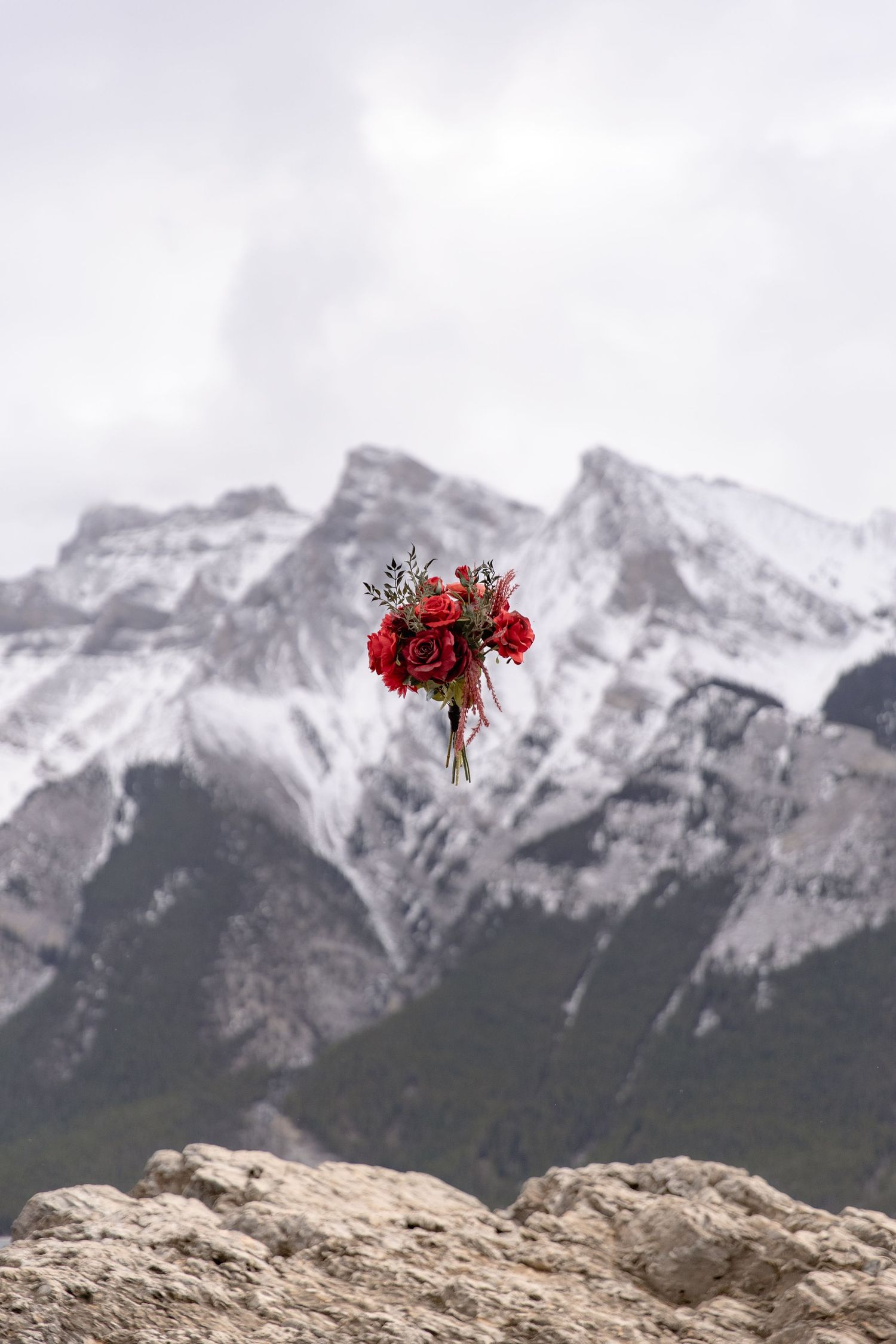 A vibrant red bouquet floats mysteriously against a backdrop of snow-capped mountain peaks in a dramatic landscape.