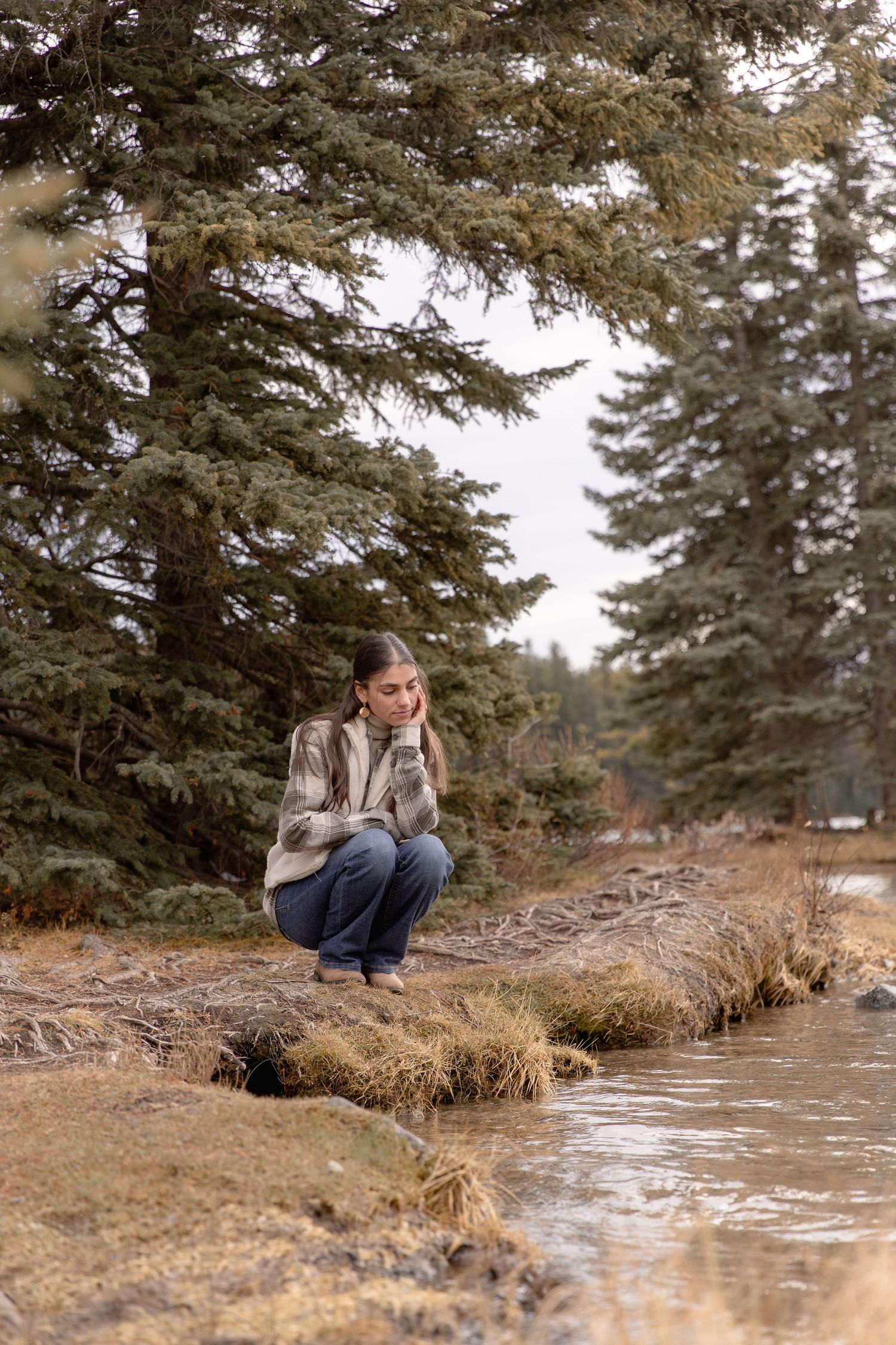 A person in casual clothing crouches near a stream surrounded by evergreen trees in a serene natural setting.