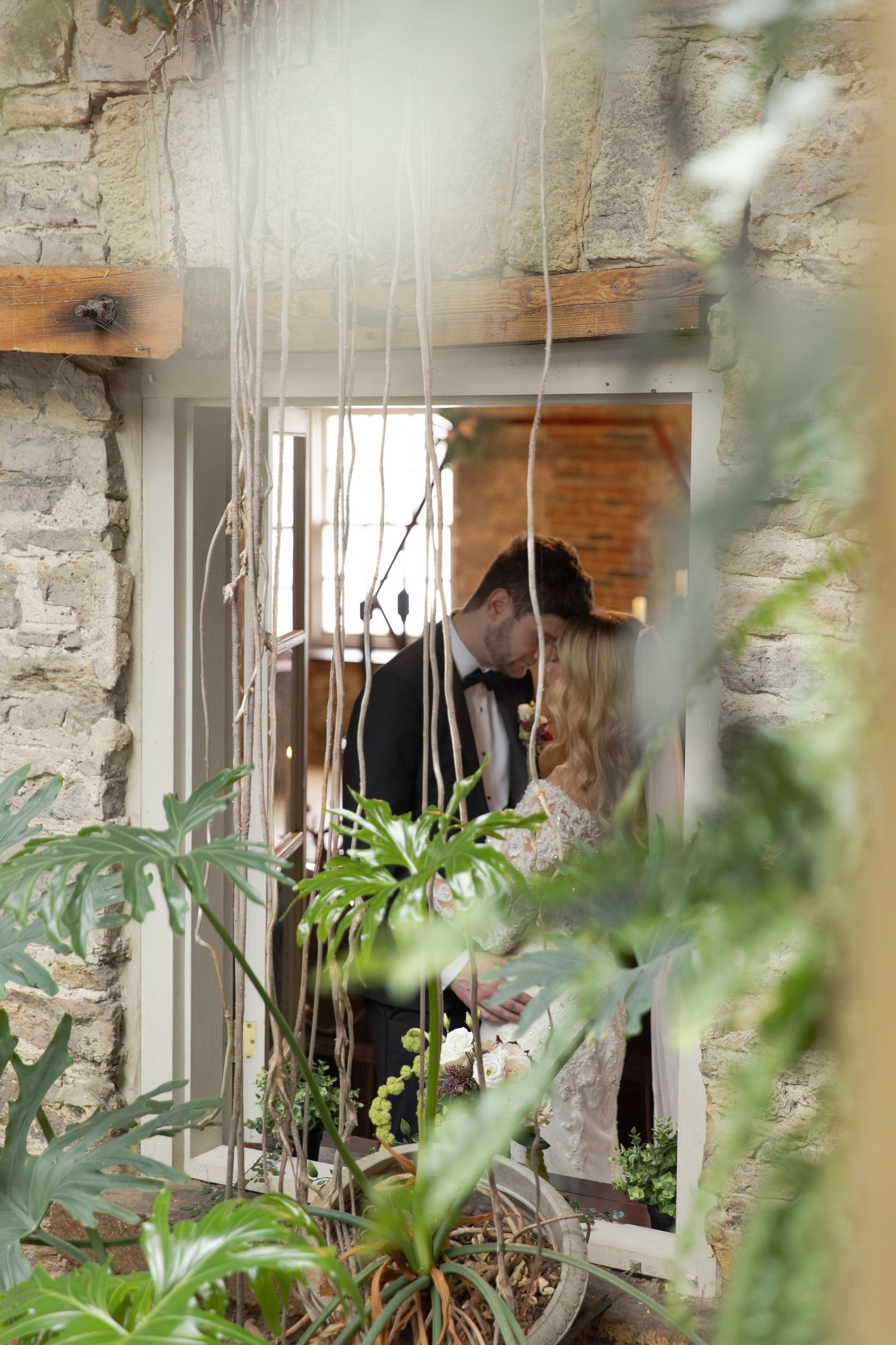 Weathered stone walls with windows and lush green plants growing in an abandoned interior space.