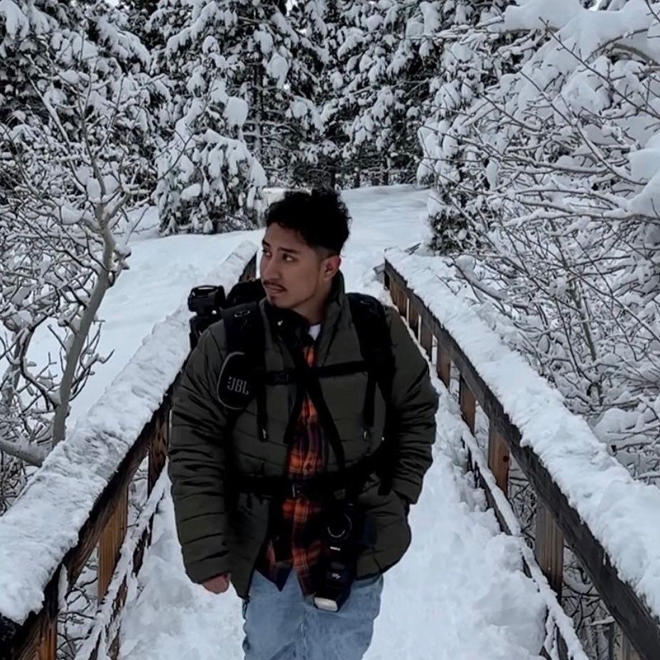 Someone wearing a winter jacket stands on a snowy wooden bridge path surrounded by snow-covered trees in winter.