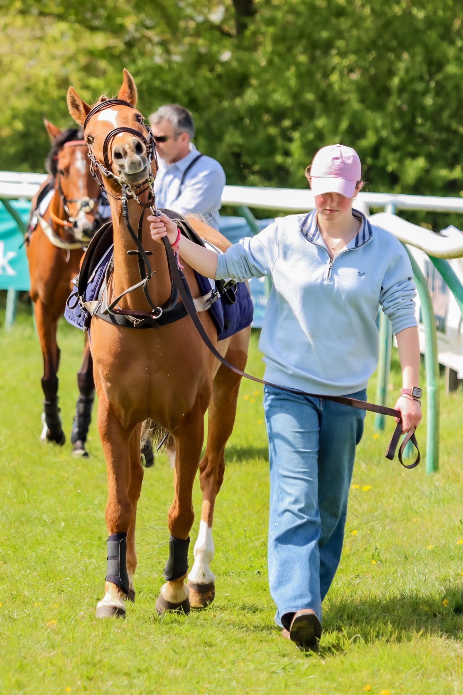pony being led round paddock before pony race