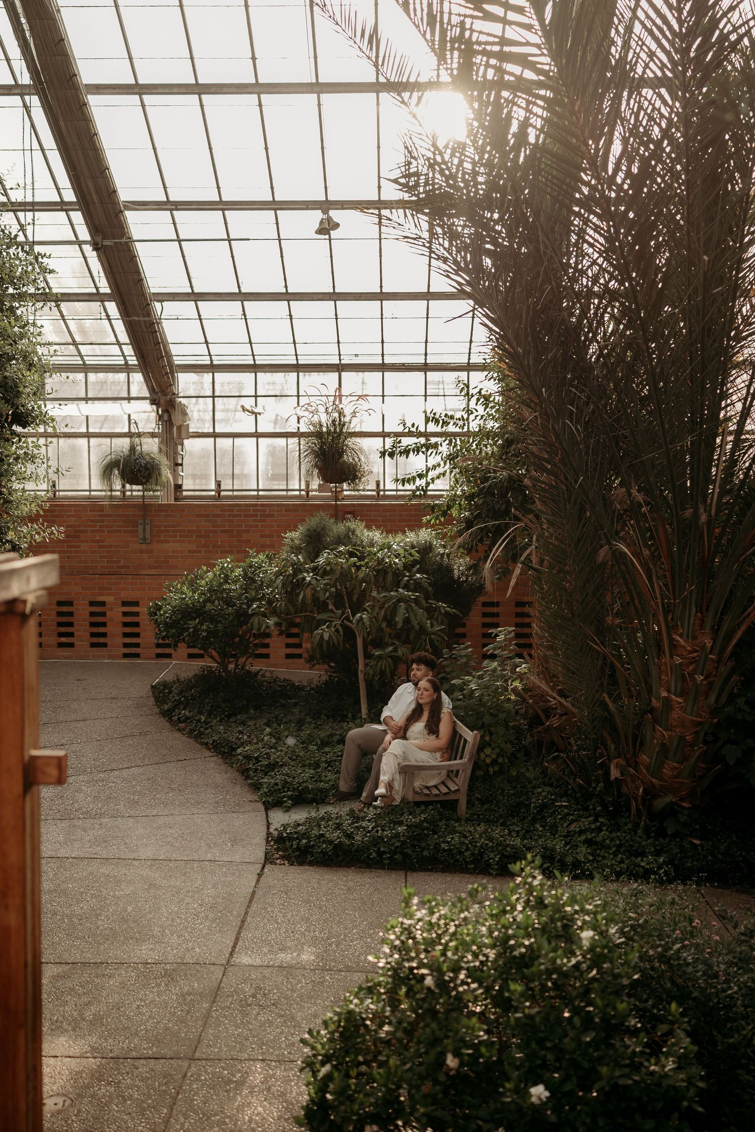 A greenhouse interior with glass panels and lush plants creating a serene botanical environment.