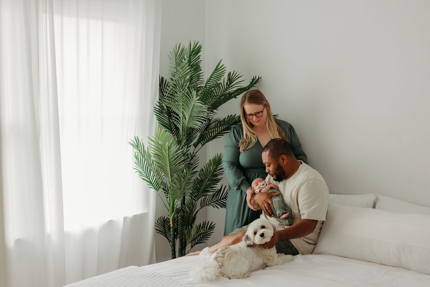 Couple relaxing on white couch with their dog in bright modern living room with large potted palm plant.