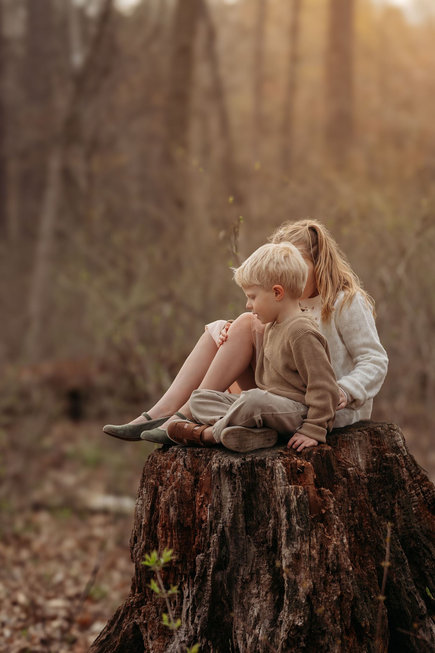 Two children sitting together on a large tree stump in an autumn forest during golden hour.