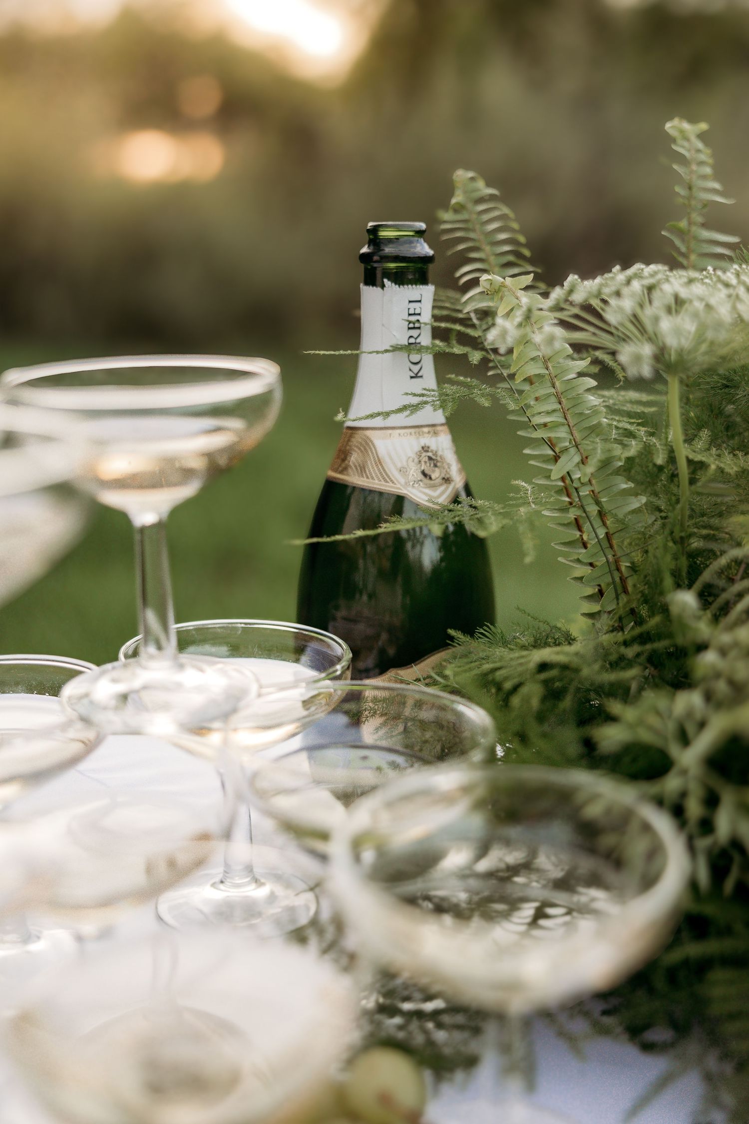 Champagne bottle and coupe glasses arranged outdoors with ferns and soft golden sunset lighting in background.