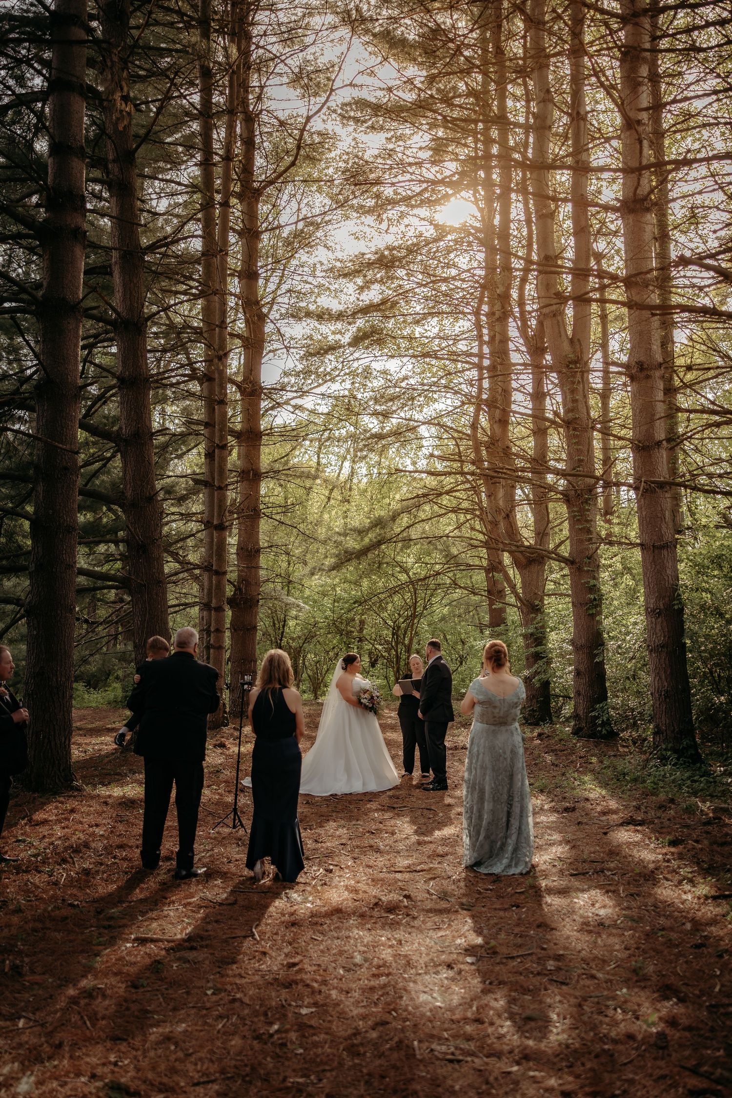 Bride and groom exchange vows in a sunlit forest wedding ceremony surrounded by tall pine trees and small wedding party.