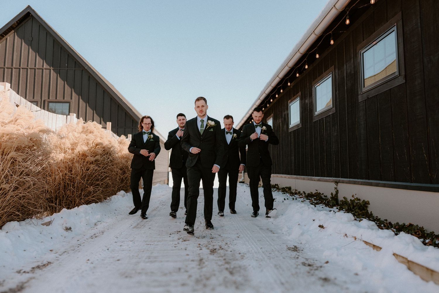 Wedding party walks together on a snowy path between modern black barn-style buildings during a winter celebration.