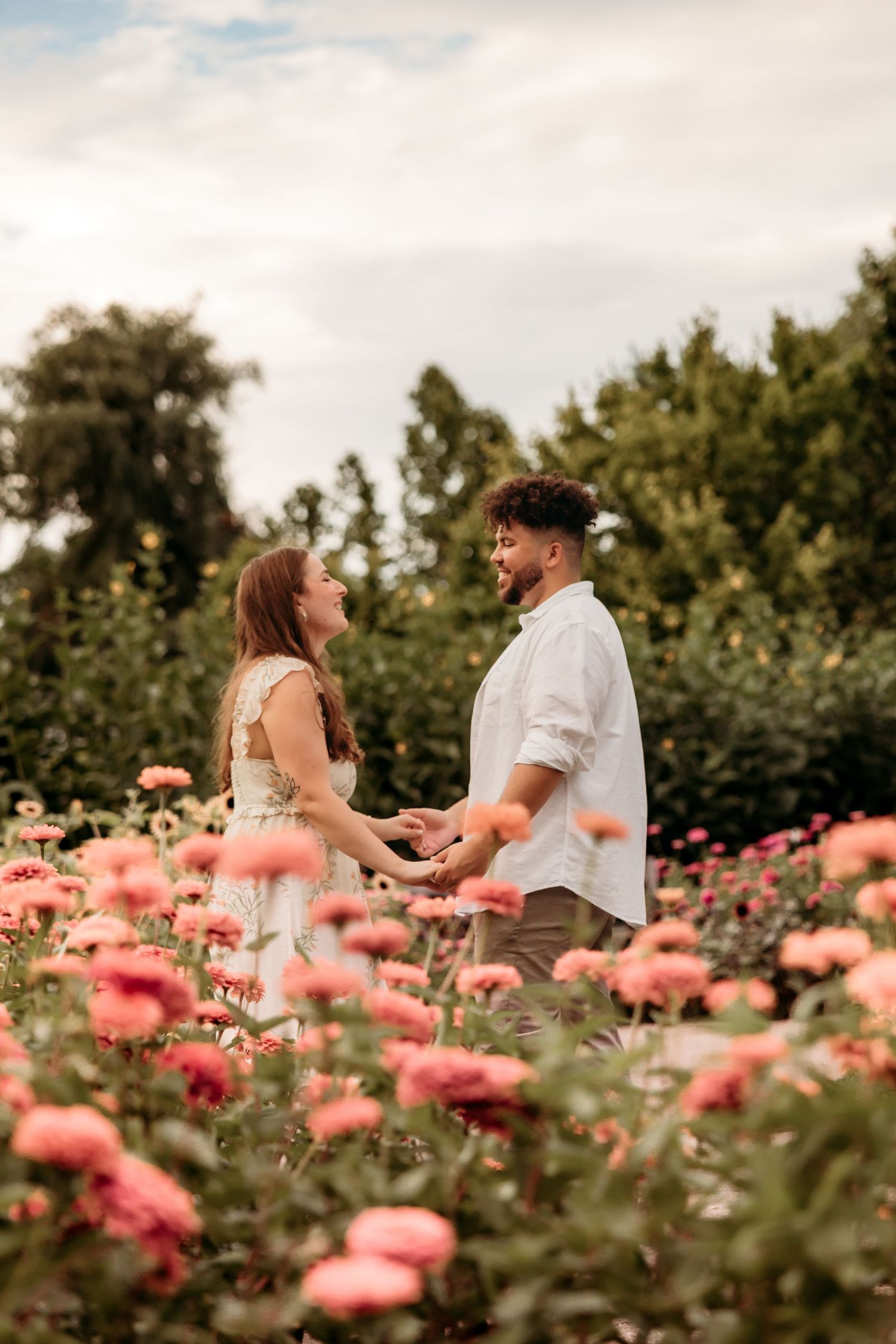A couple shares a romantic moment in a blooming pink rose garden during golden hour.