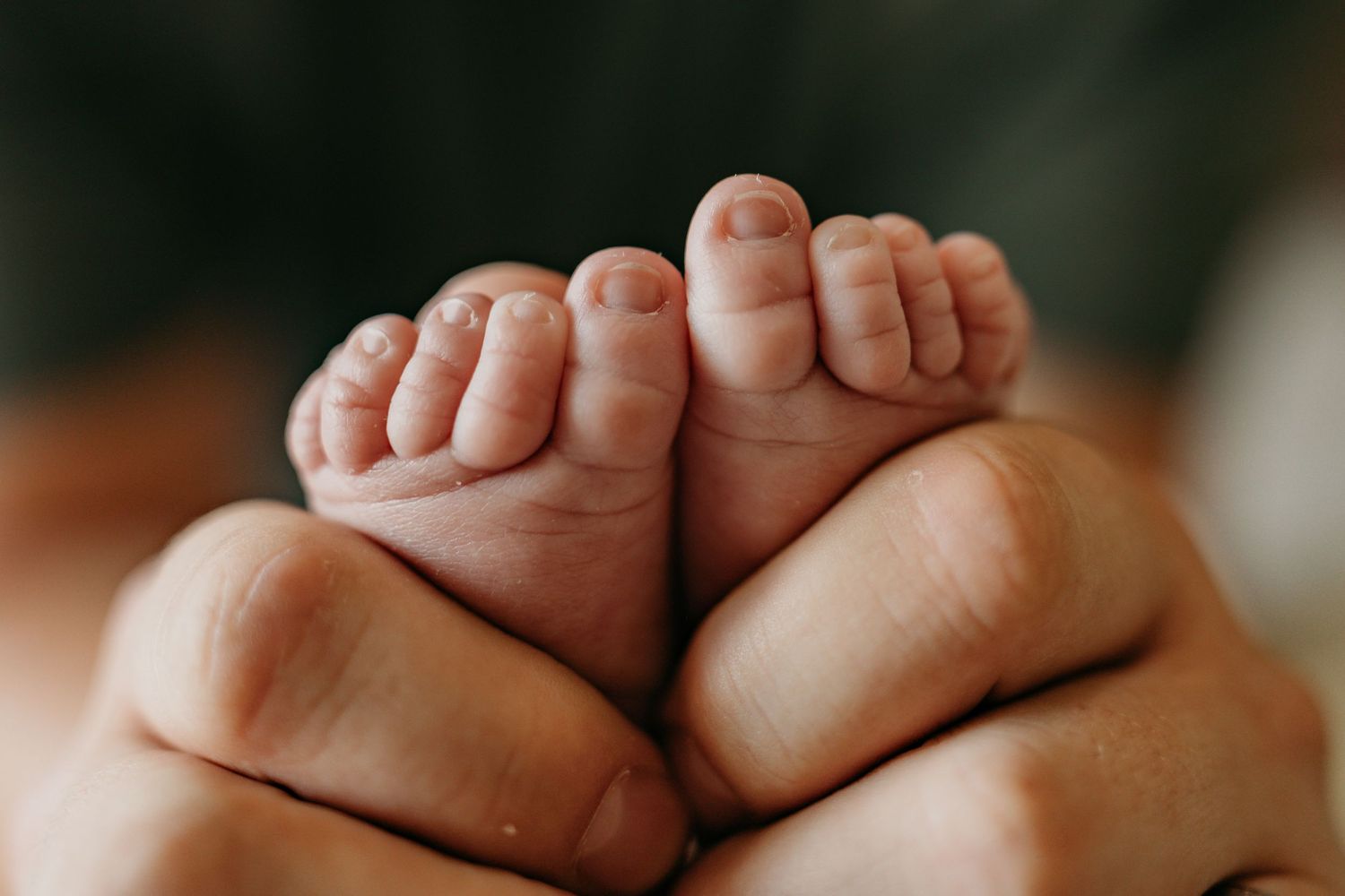 Close up macro shot of tiny baby feet being cradled in adult hands against dark background.
