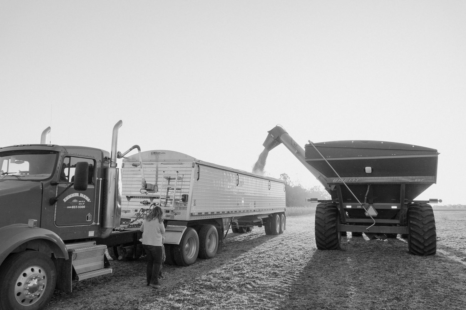 Vintage black and white photos showing a series of trucks and trailers parked on farmland during harvest season.