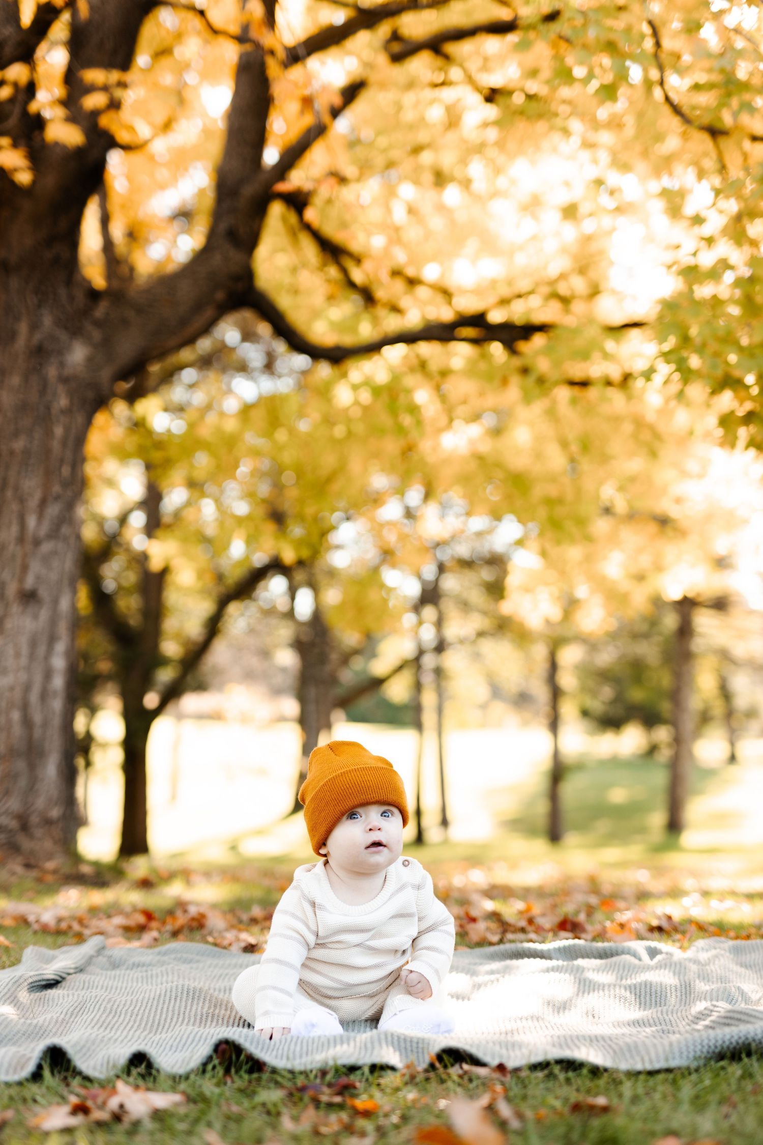 Minneapolis family photographer