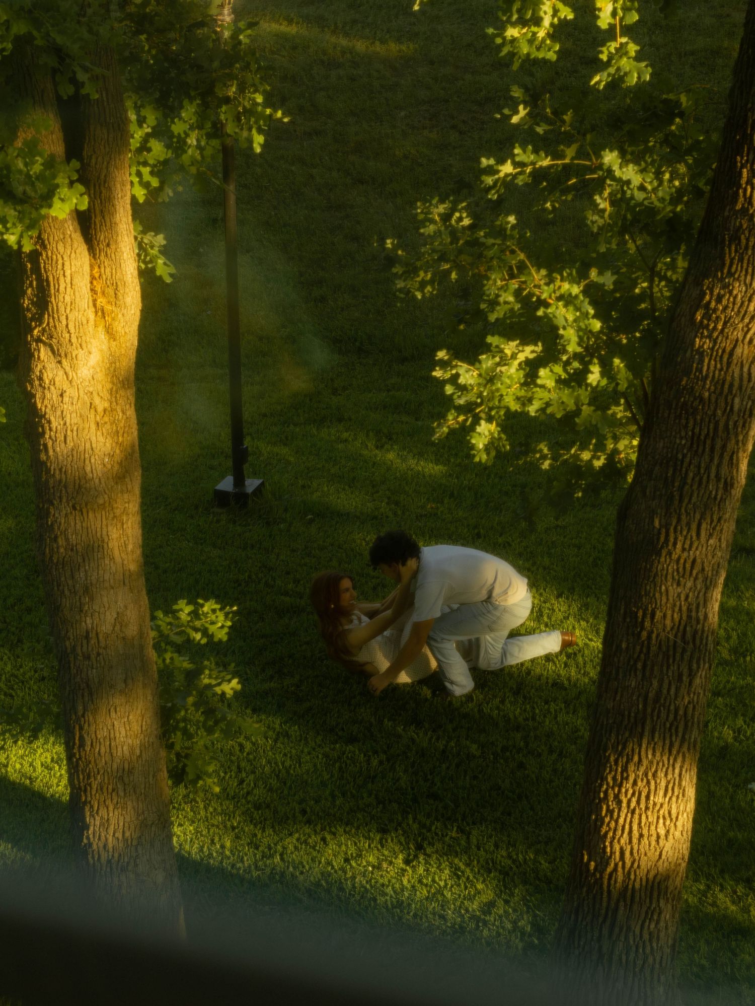 A couple sharing a romantic embrace on lush green grass beneath sunlit trees, viewed from above.