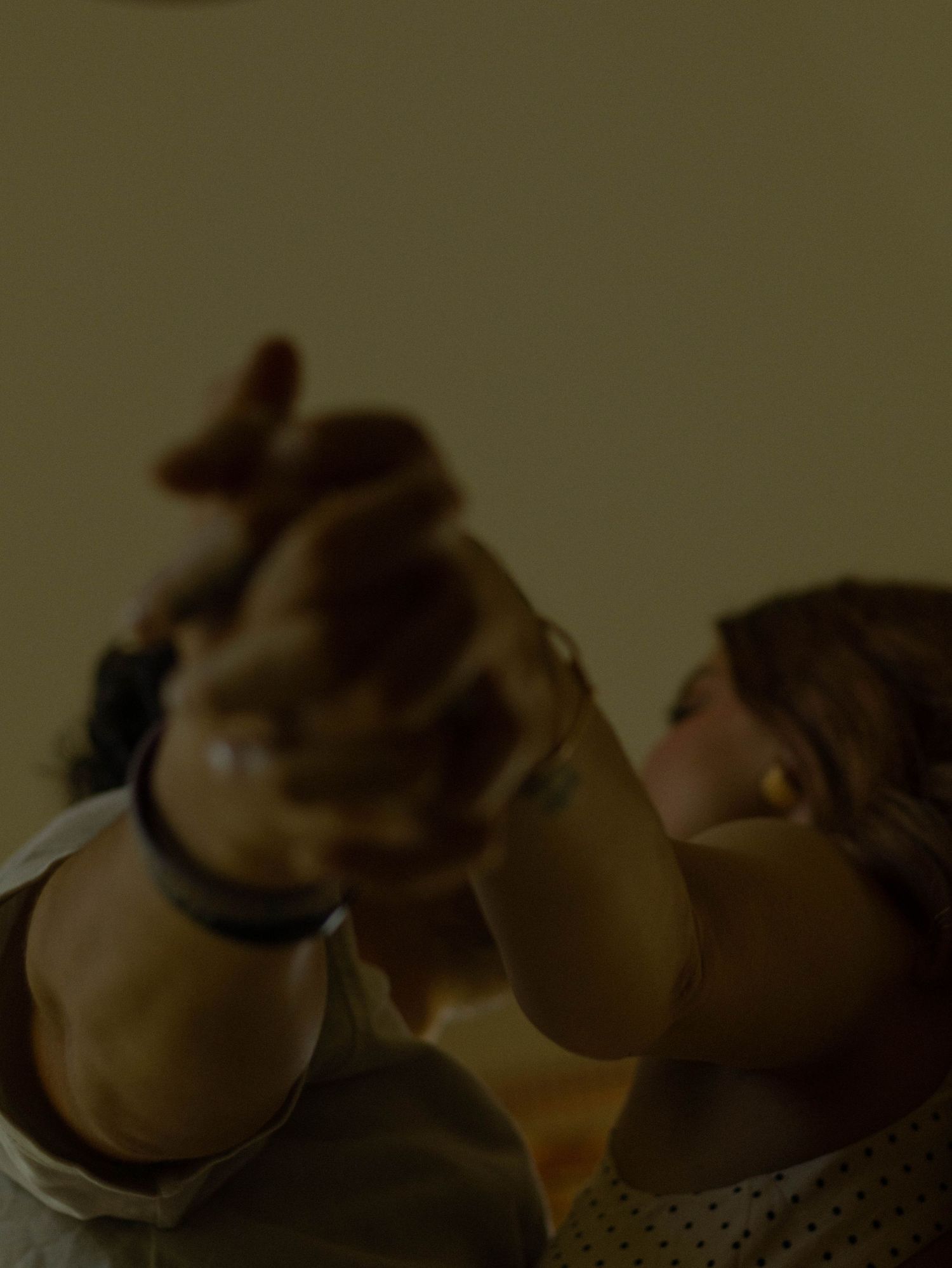 A woman holds up a small puppy with both hands, gazing at it lovingly in a warmly lit indoor setting.