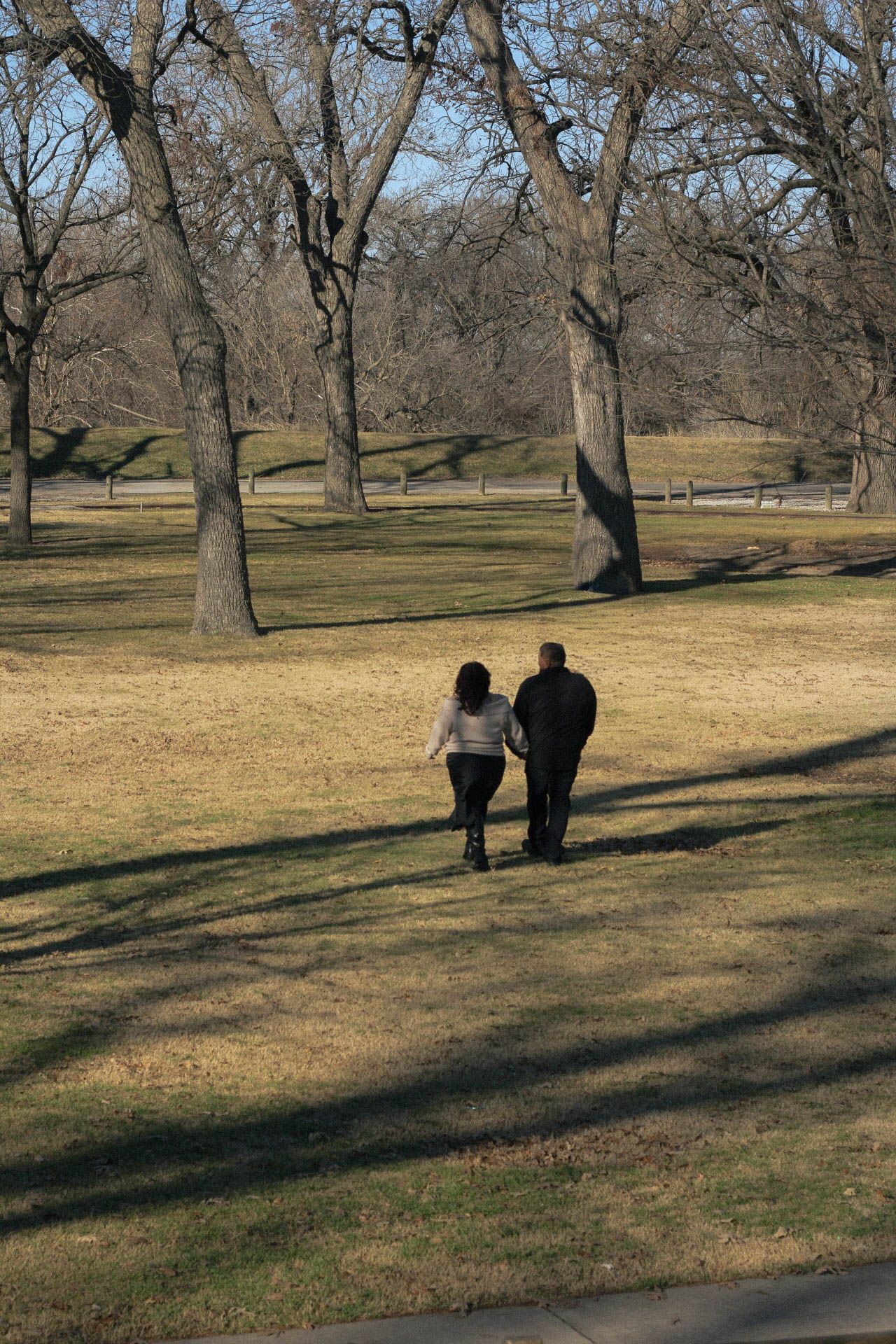 Silhouettes of people walking through a park with dormant trees casting long shadows.